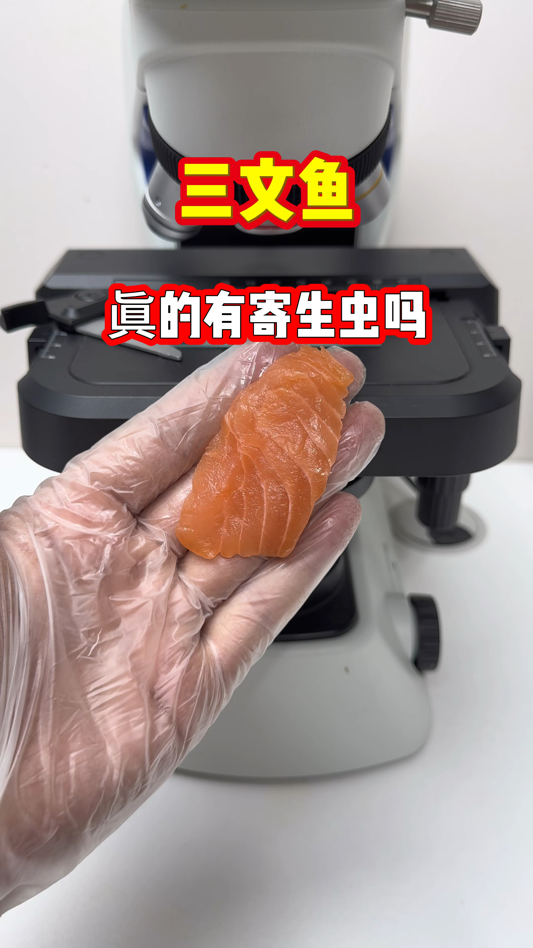 三文鱼放大,真的能生吃吗