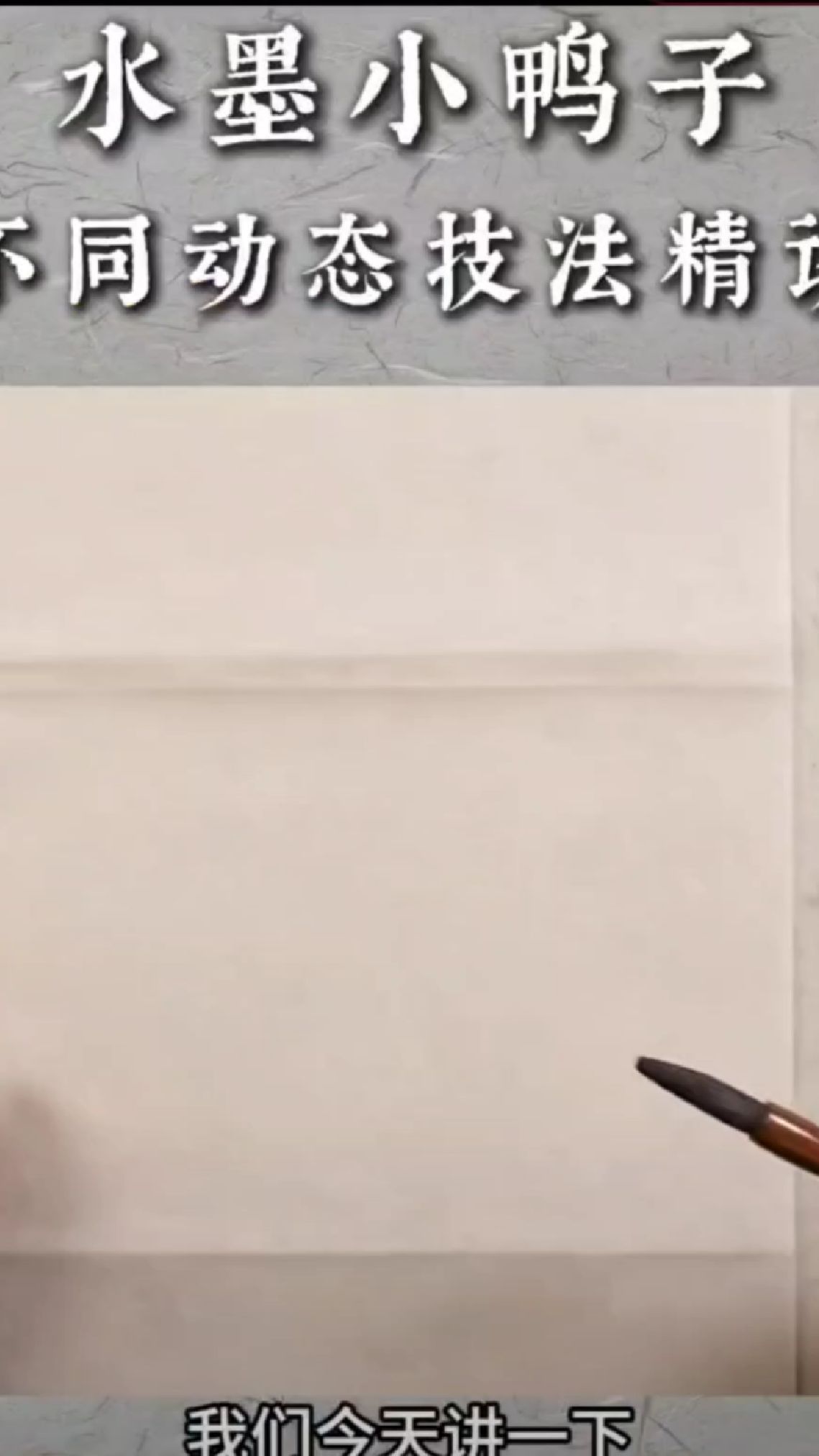 小鸭子活泼又可爱
