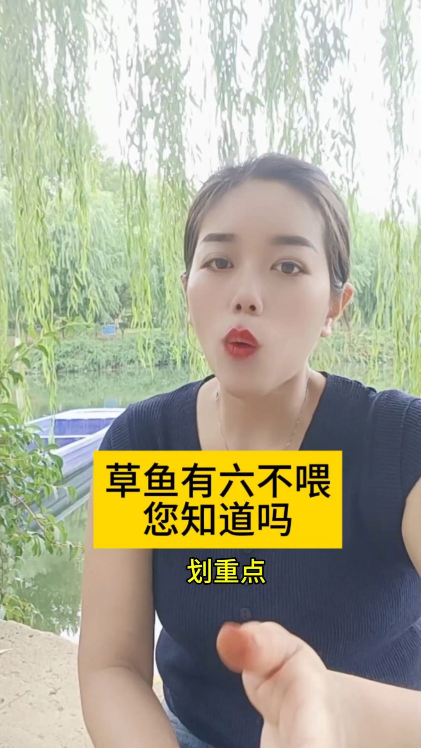 草鱼喂料的时候需要注意哪些