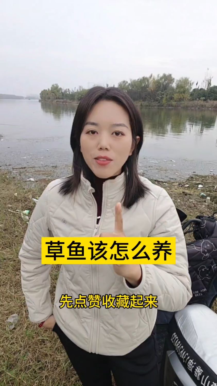 草鱼怎么养长得好