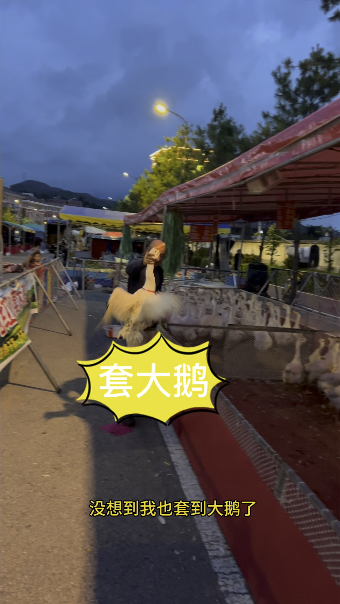 会送鹅也要学会套大鹅