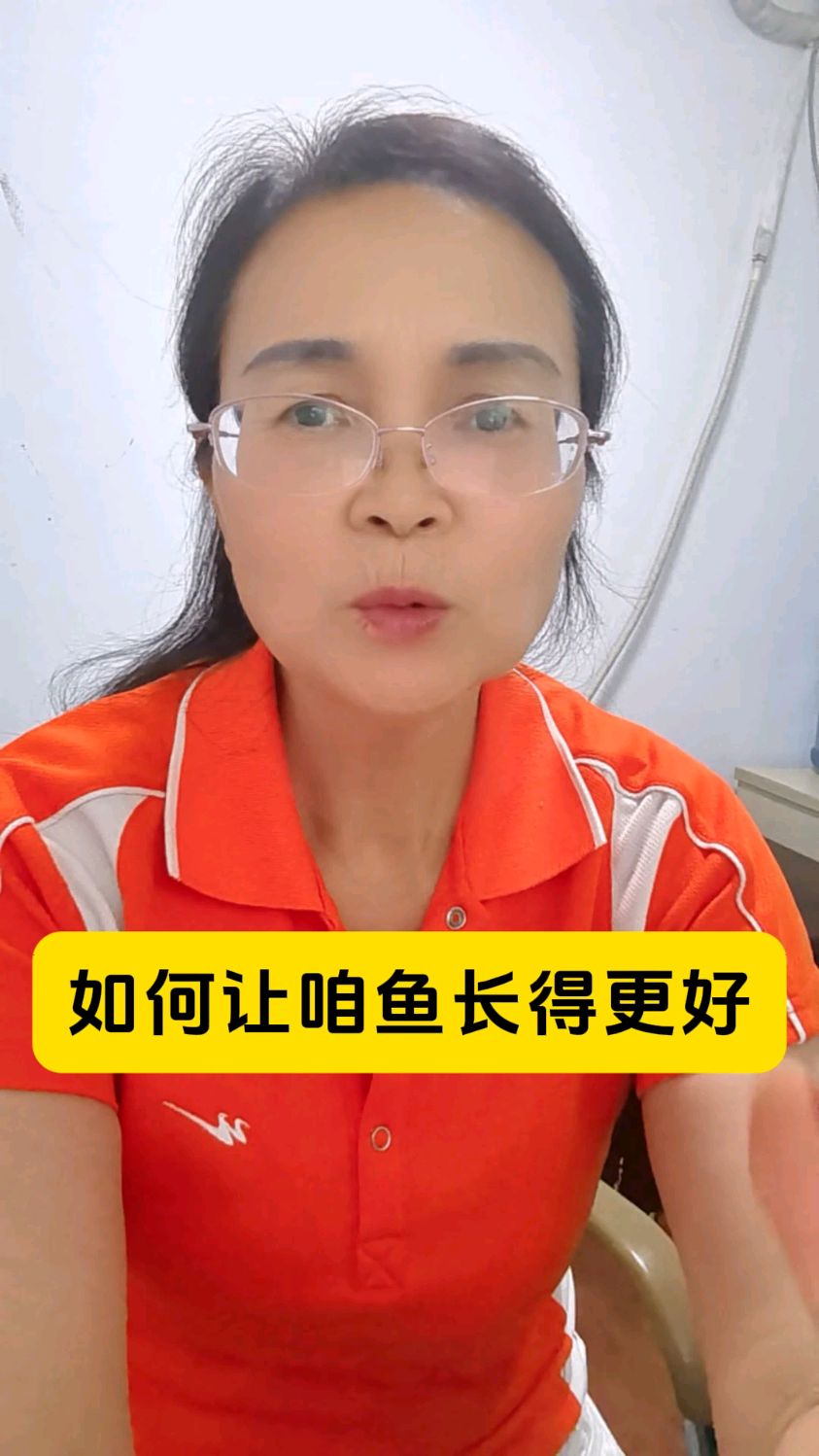 豆腐渣发酵喂鱼长得快