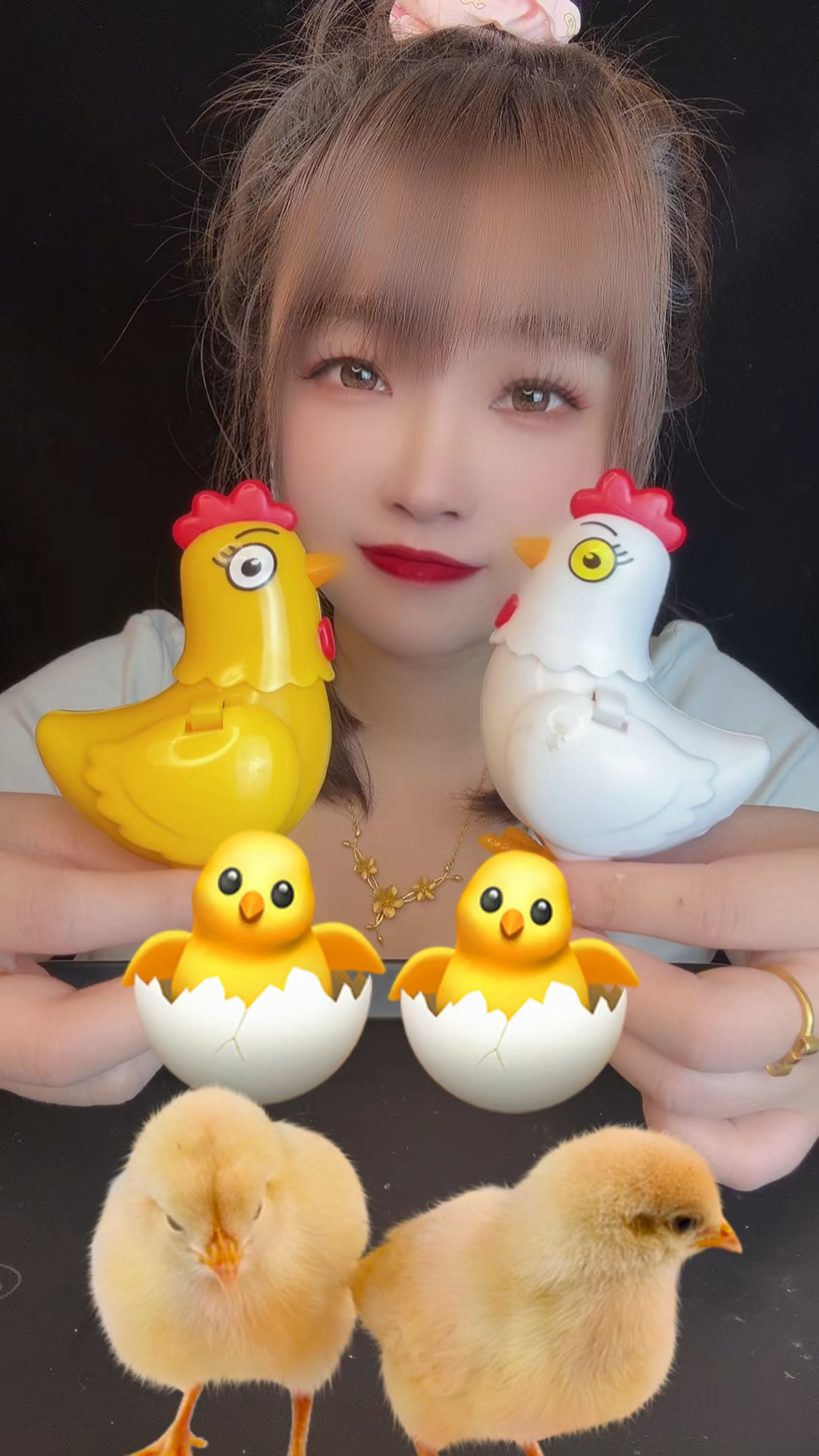 小鸡跑我家里啦,一个黄色的小鸡,一个白色的小鸡