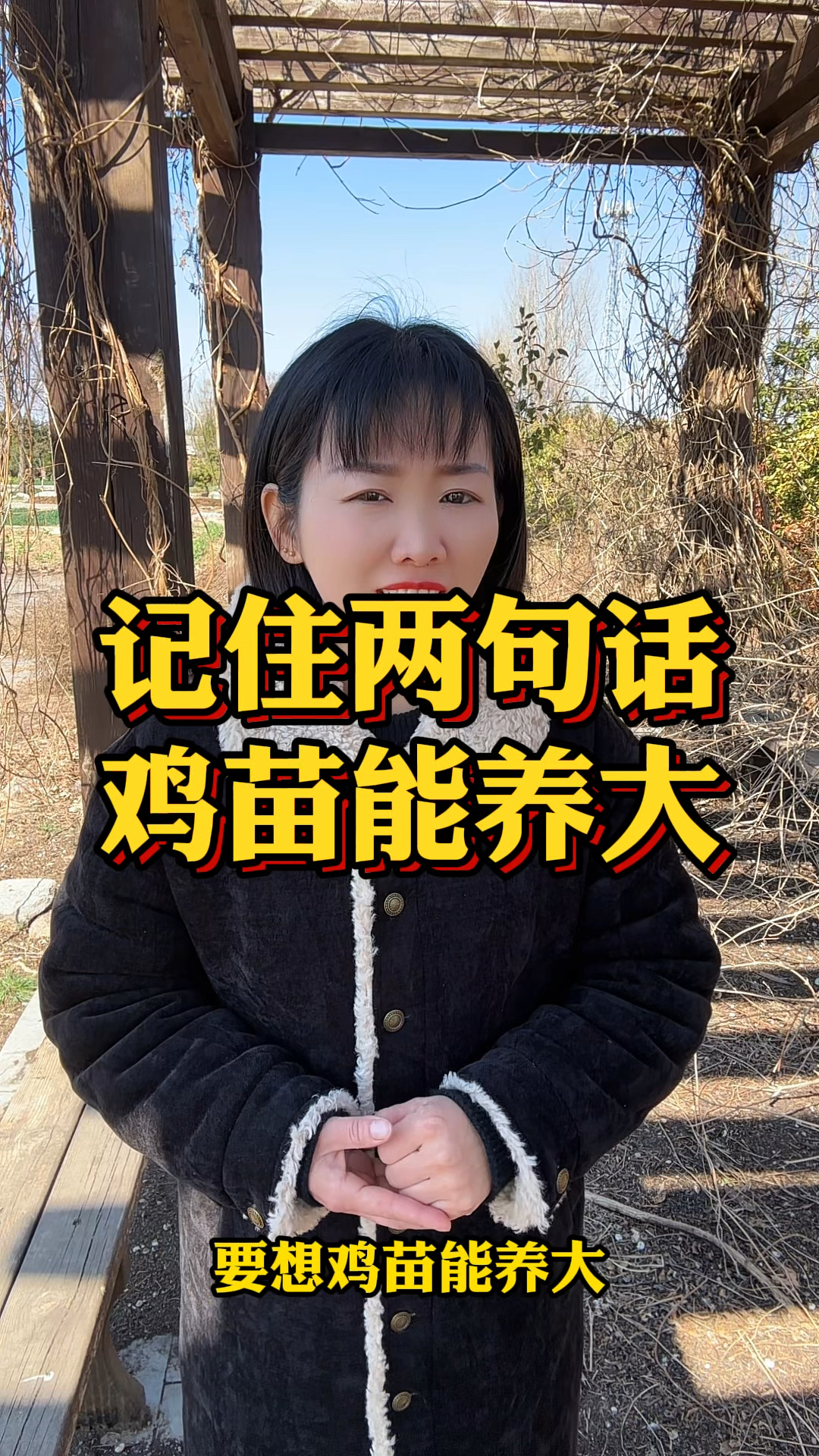 记住两句话 鸡苗能养大