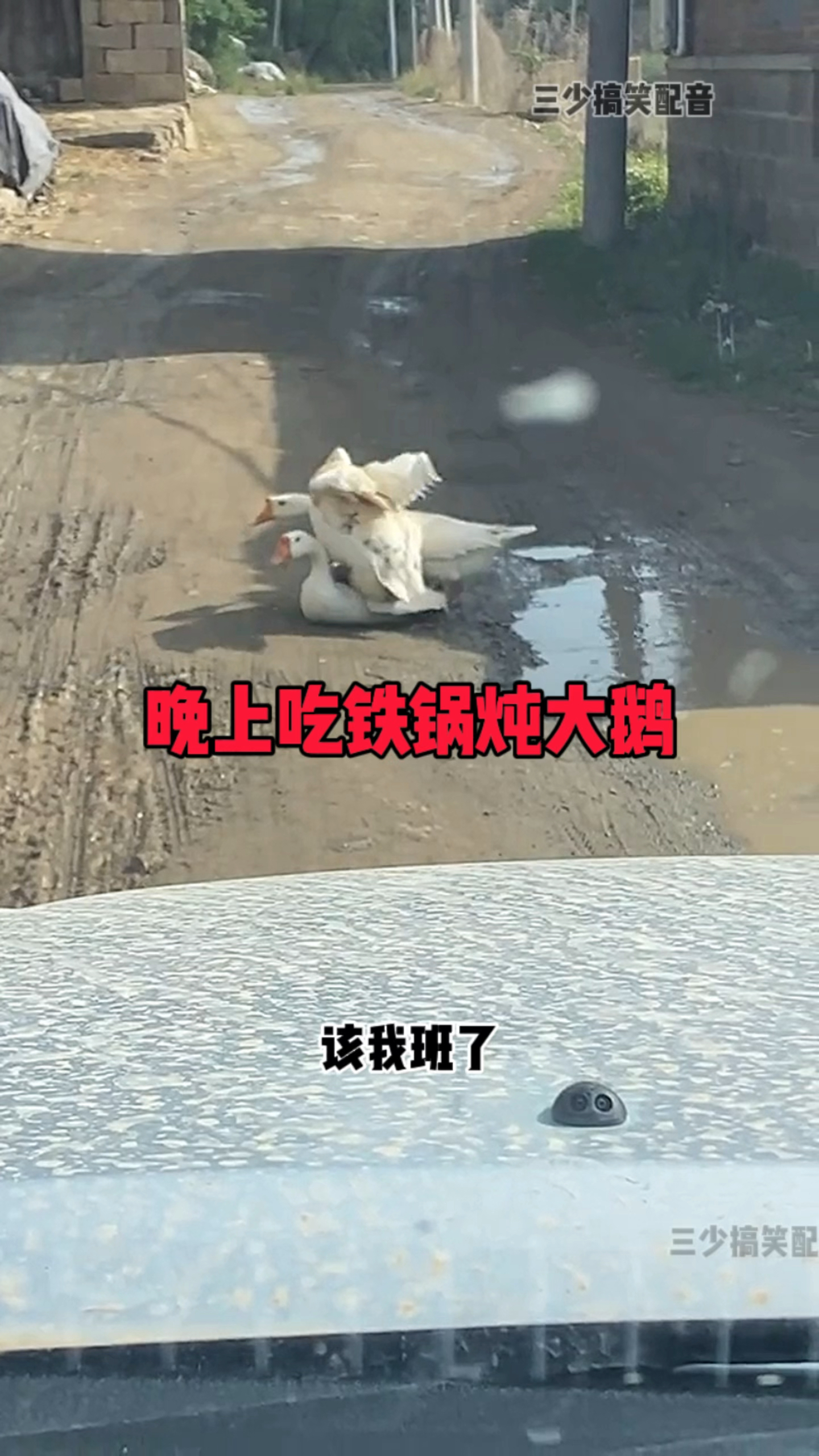 晚上吃铁锅炖大鹅