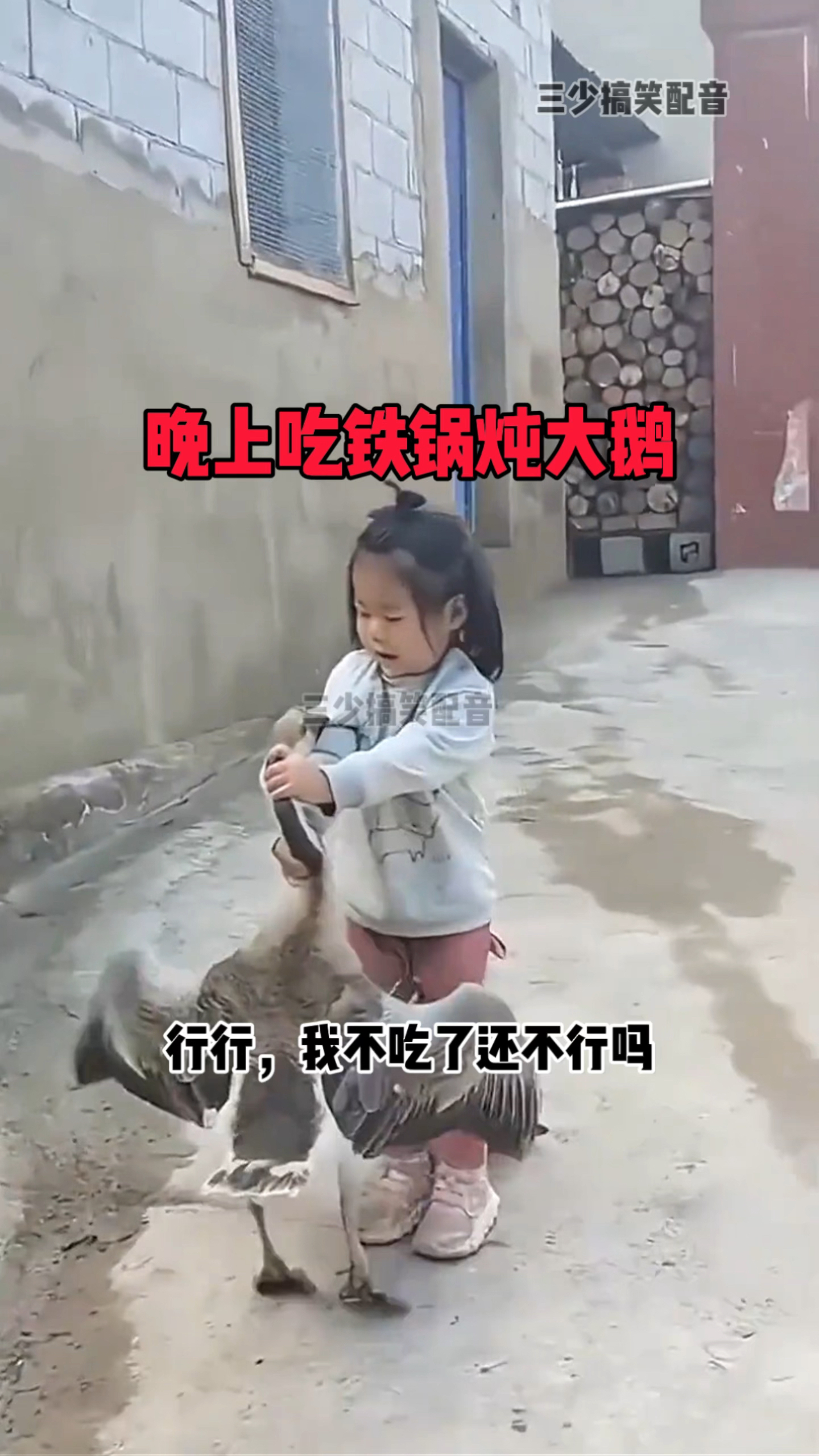 晚上吃铁锅炖大鹅