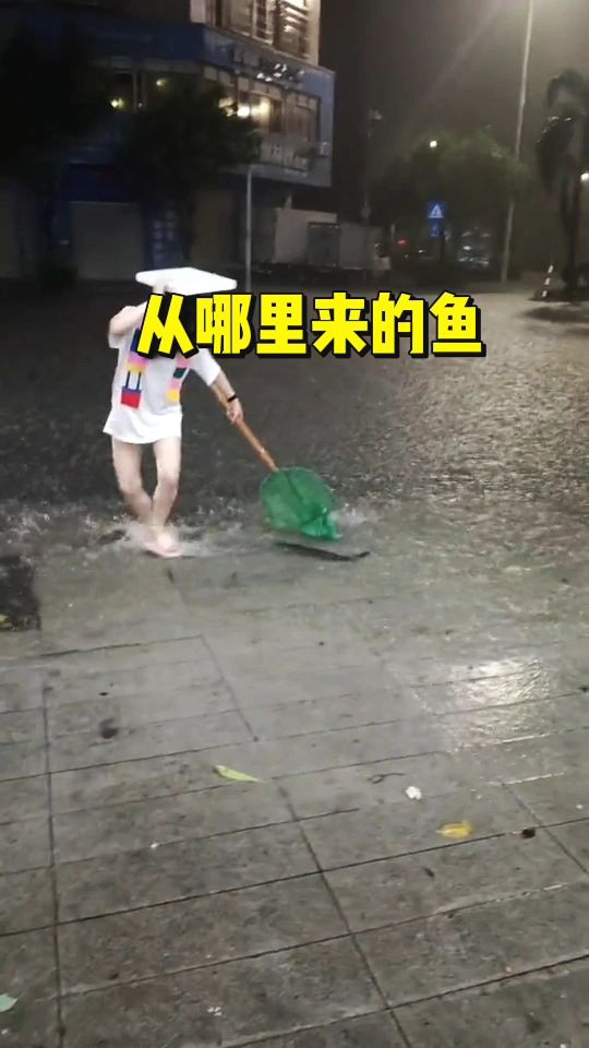 这条鲶鱼还真不小呢
