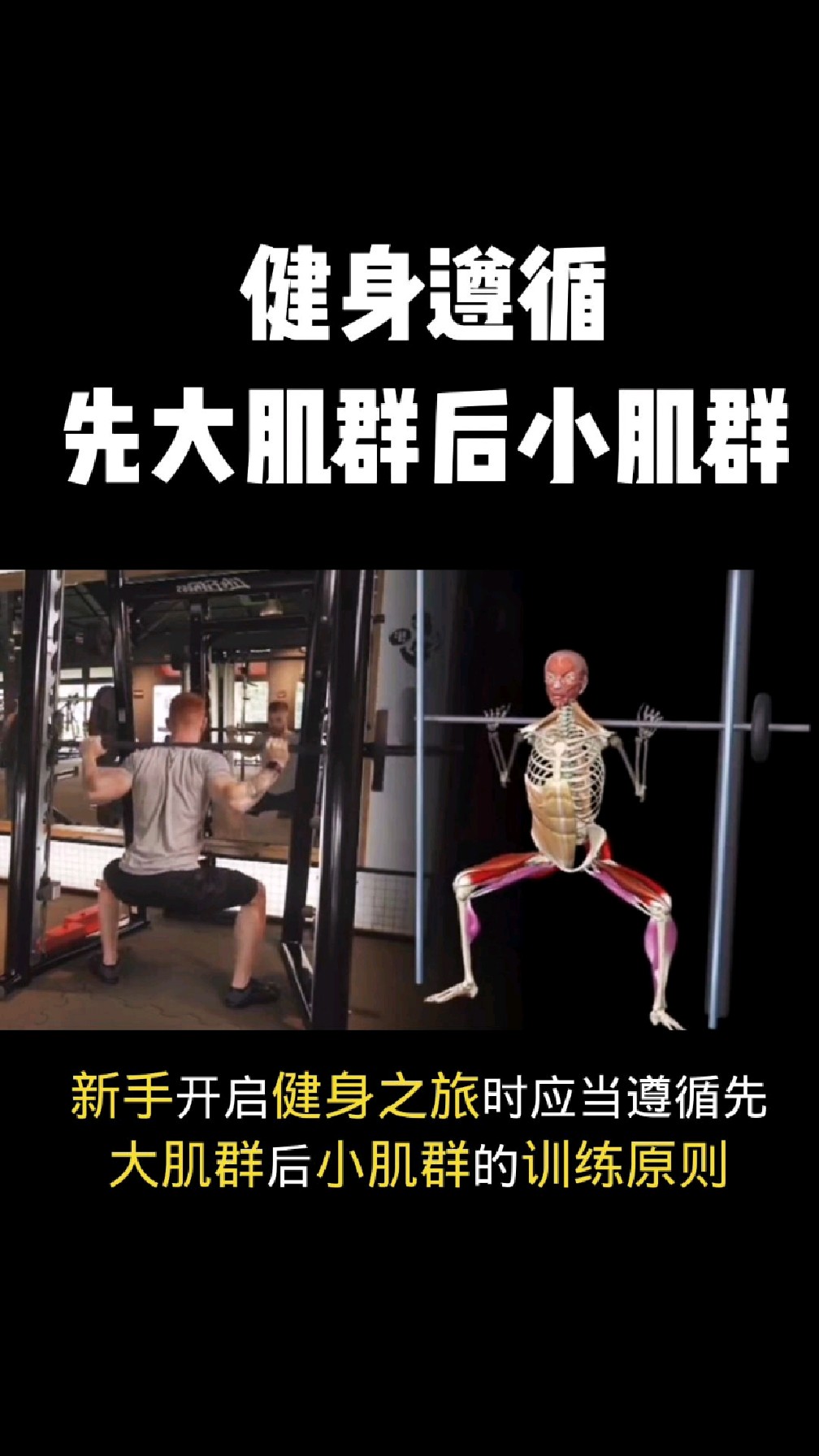 健身先大肌群后小肌群训练!