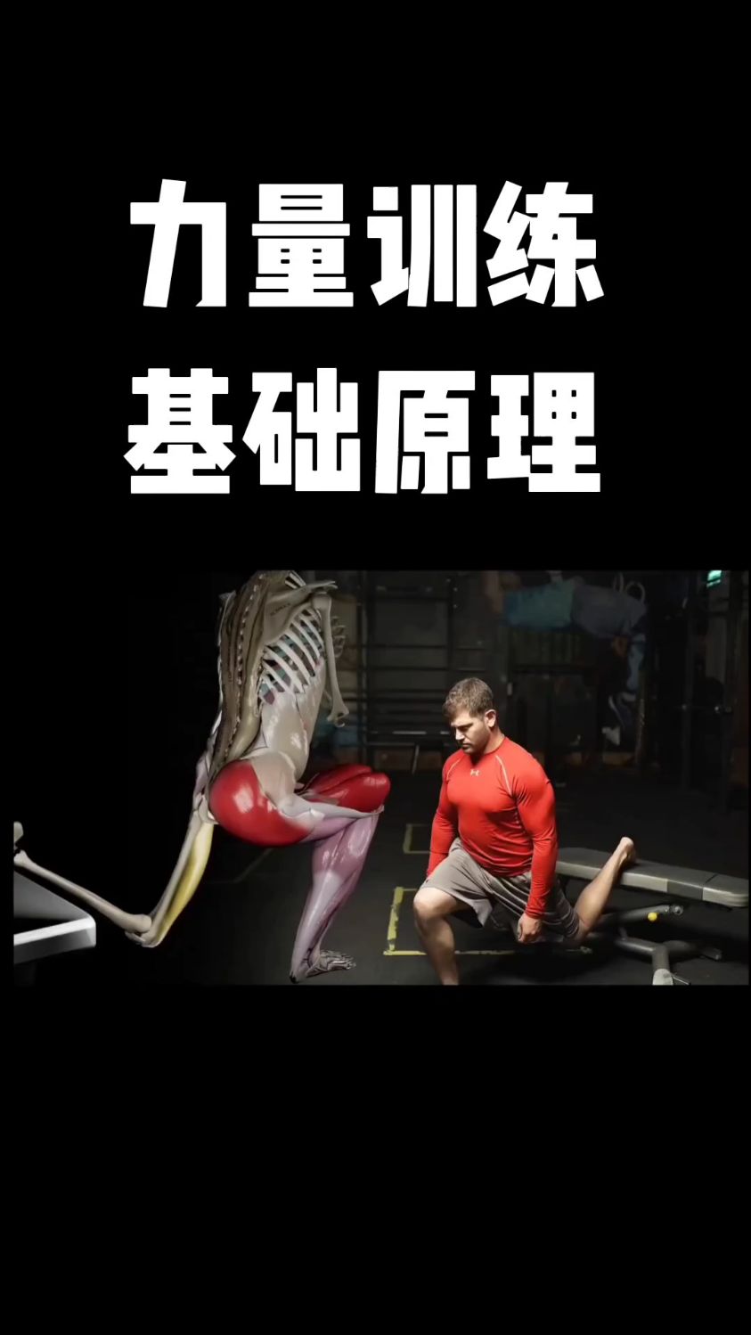 增加肌肉含量提高基础代谢!