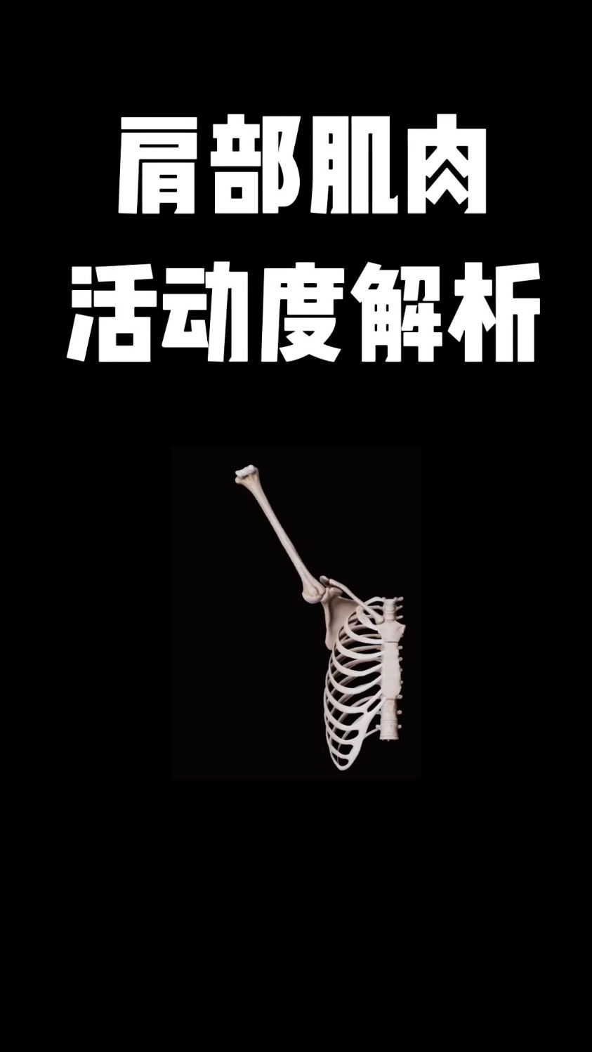 肩部肌肉活动度解析，你学会了吗？
