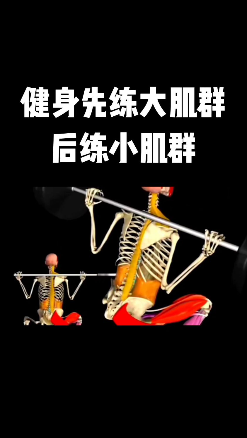 健身先练大肌群后练小肌群!