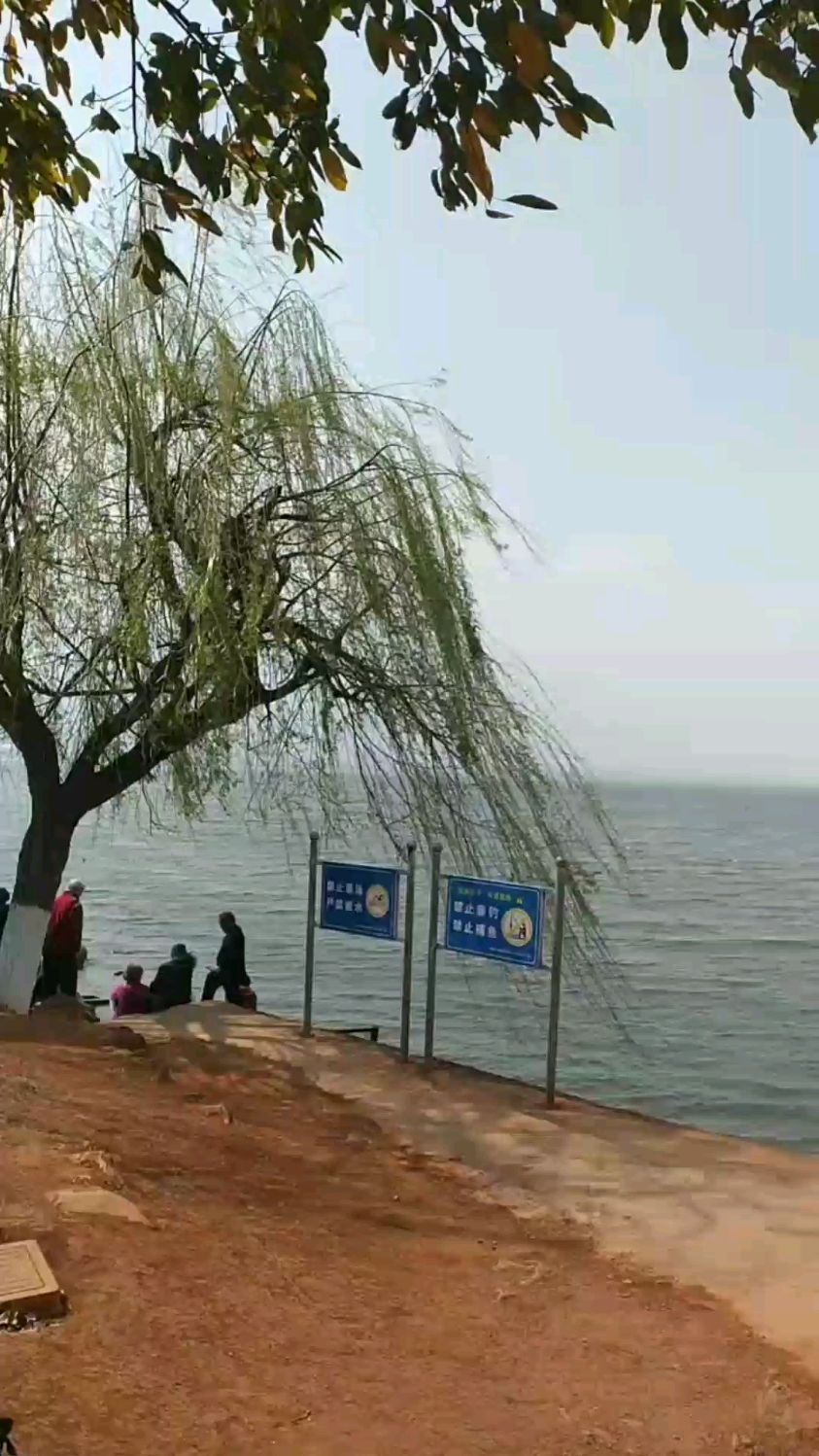洱海边走走和拜佛