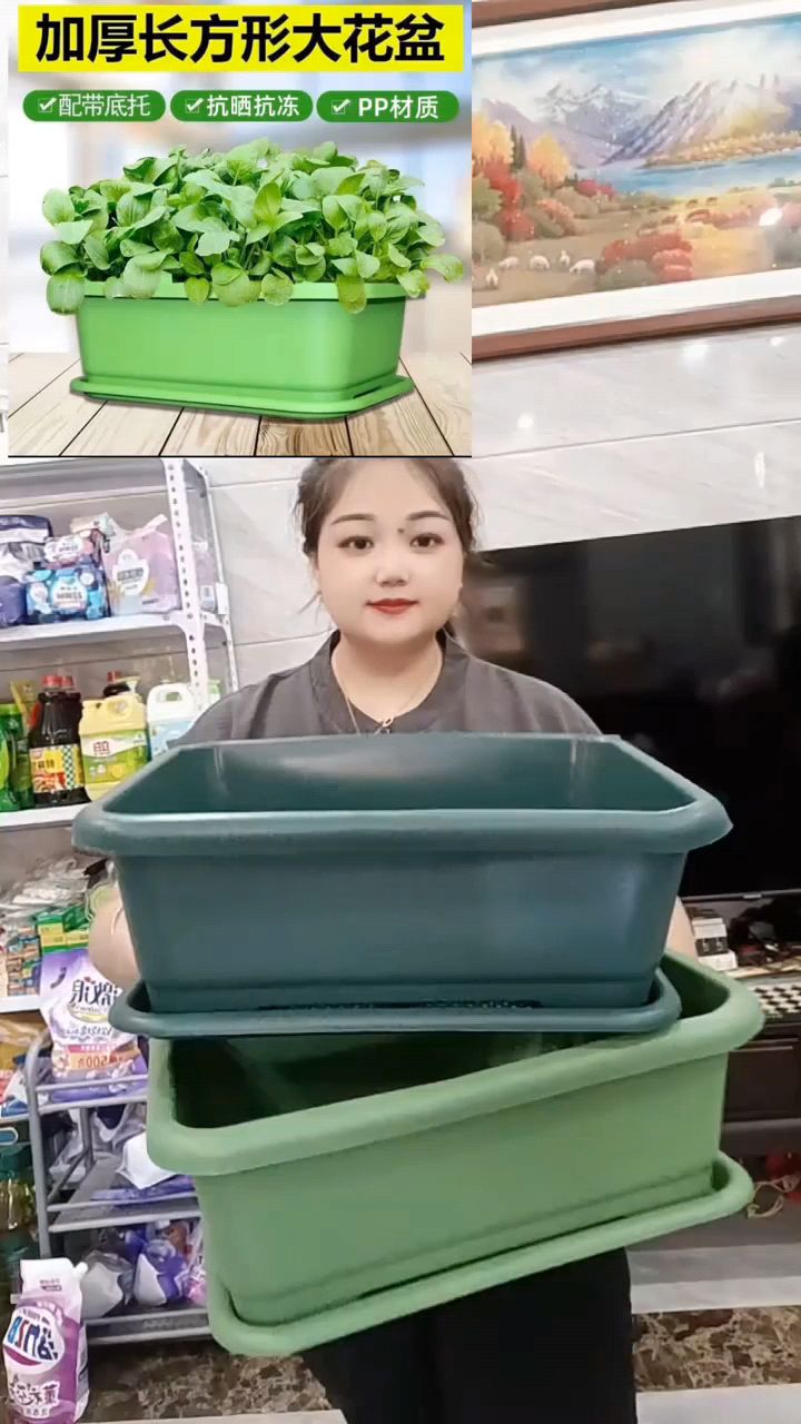 阳台种菜盆自吸水家用种菜专用盆长方形塑料蔬菜种植花盆