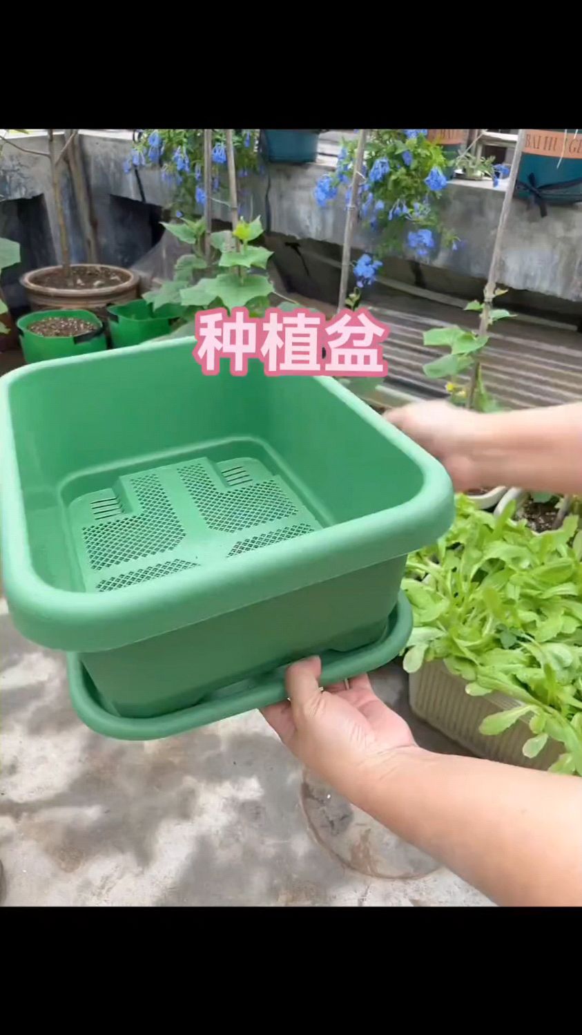 新款特大阳台种菜盆自吸水 家用种菜专用盆长方形塑料 蔬菜种植盆