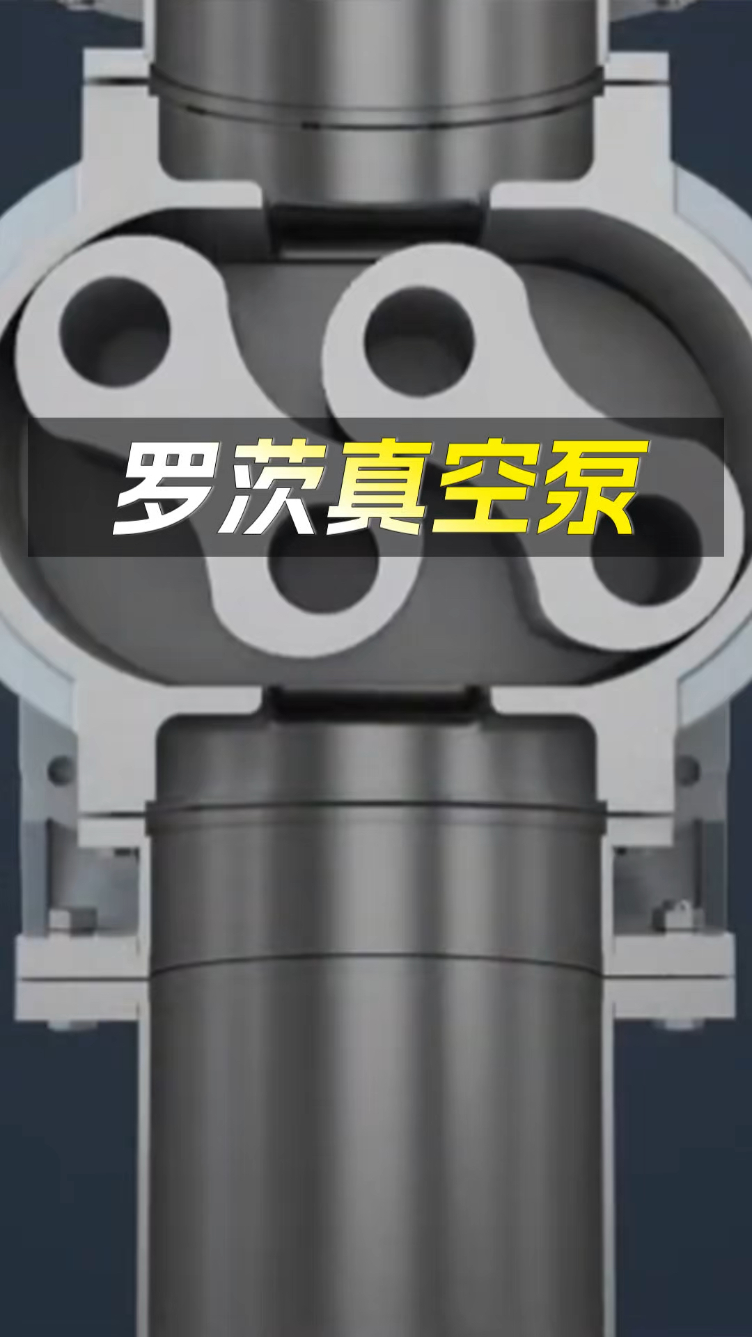 罗茨真空泵原理电动画