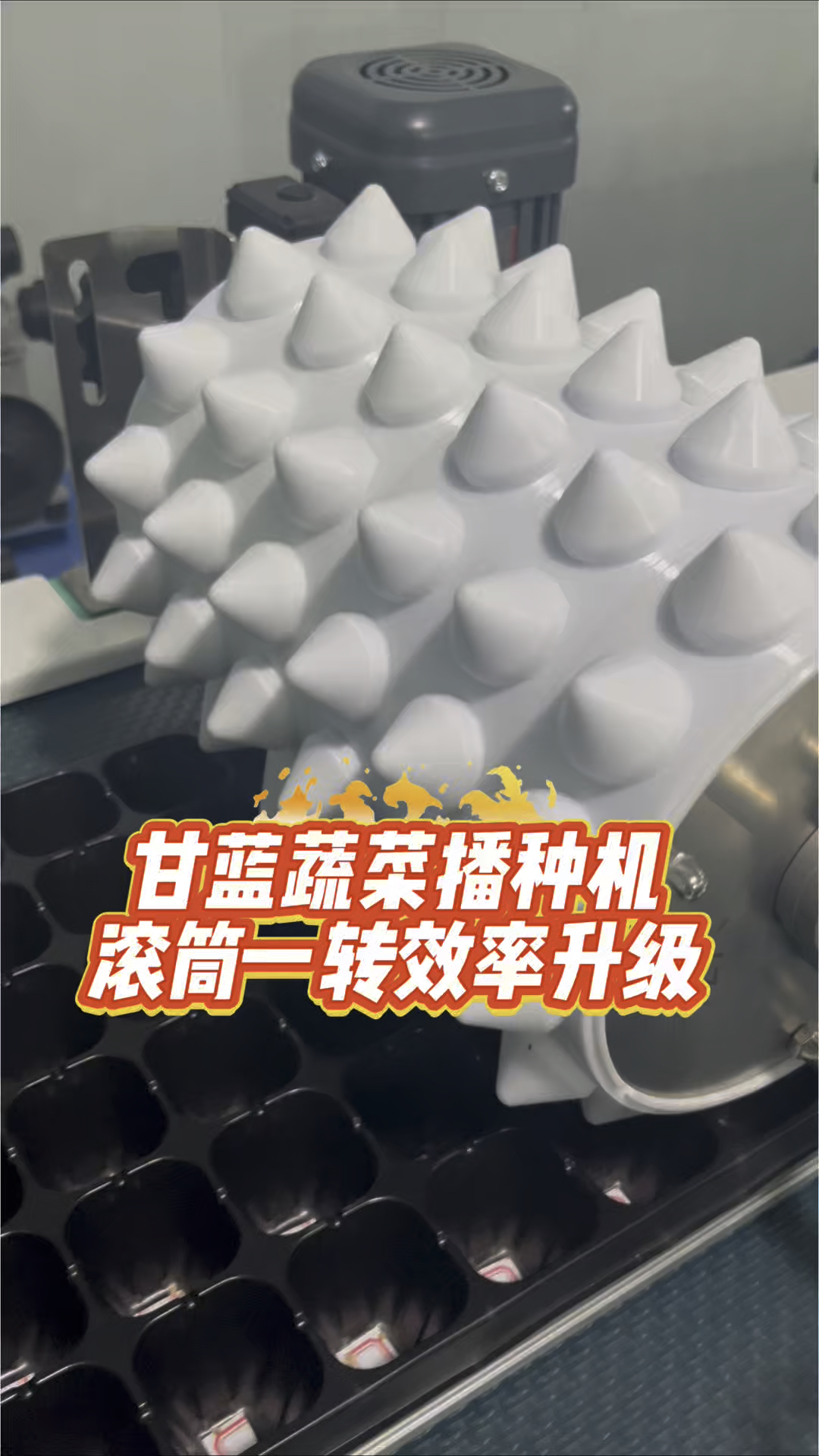 甘蓝蔬菜播种机、种甘蓝不用手忙脚乱,