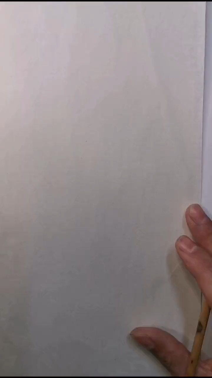 蛤蟆本是痴情种，怎耐天鹅瞎了眼。工笔花鸟