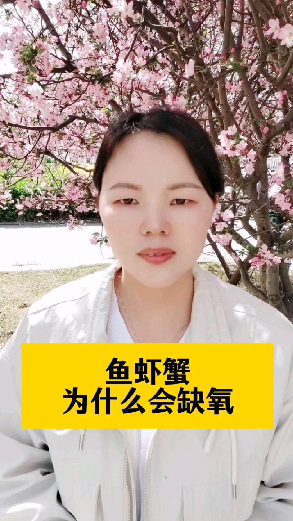鱼虾蟹为什么会缺氧