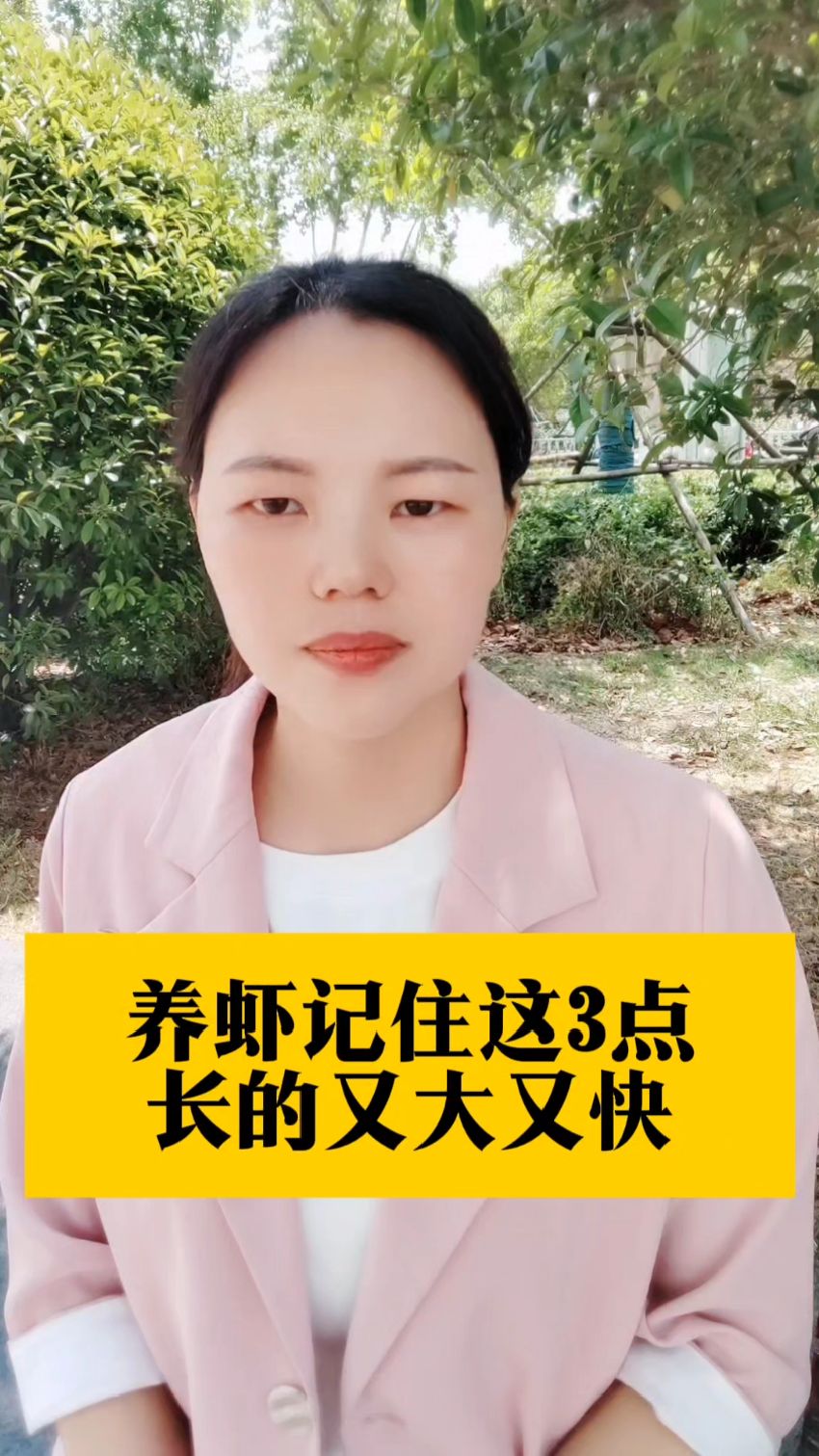 养虾记住这3点长的又大又快