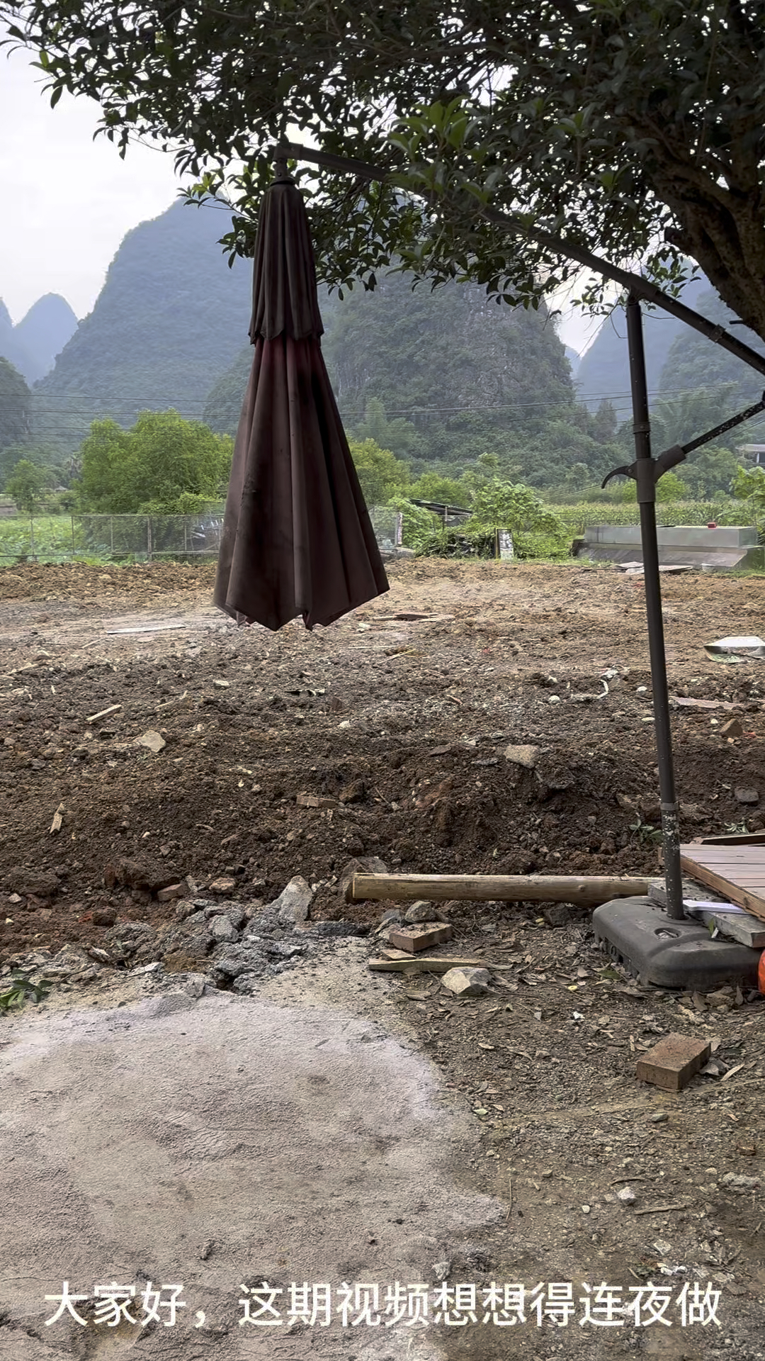 一尺稻田咖啡张先生树鱼屋作为土生土长阳朔人还是聊聊吧大家怎么