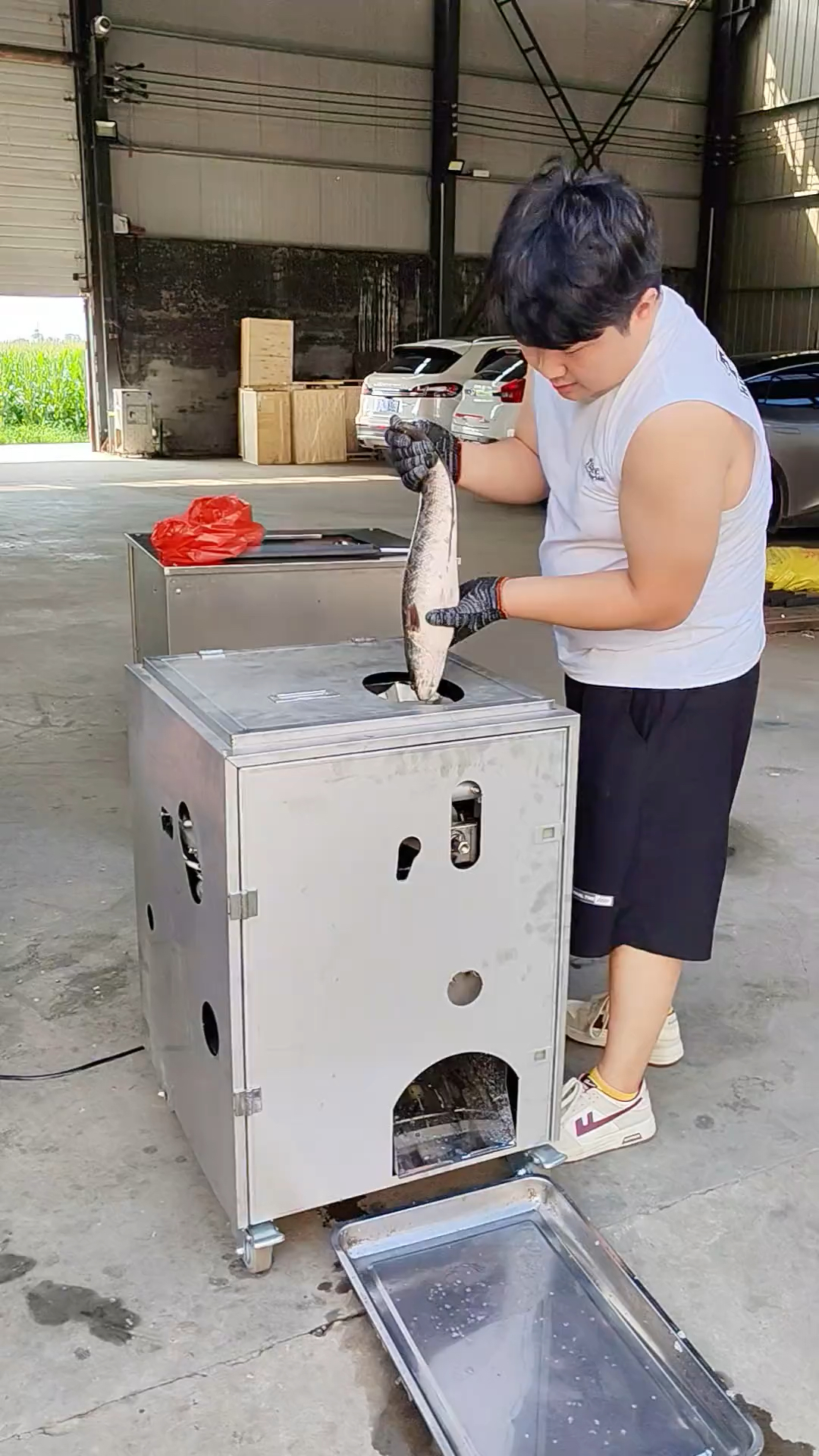 电动杀鱼机、杀鱼开肚机