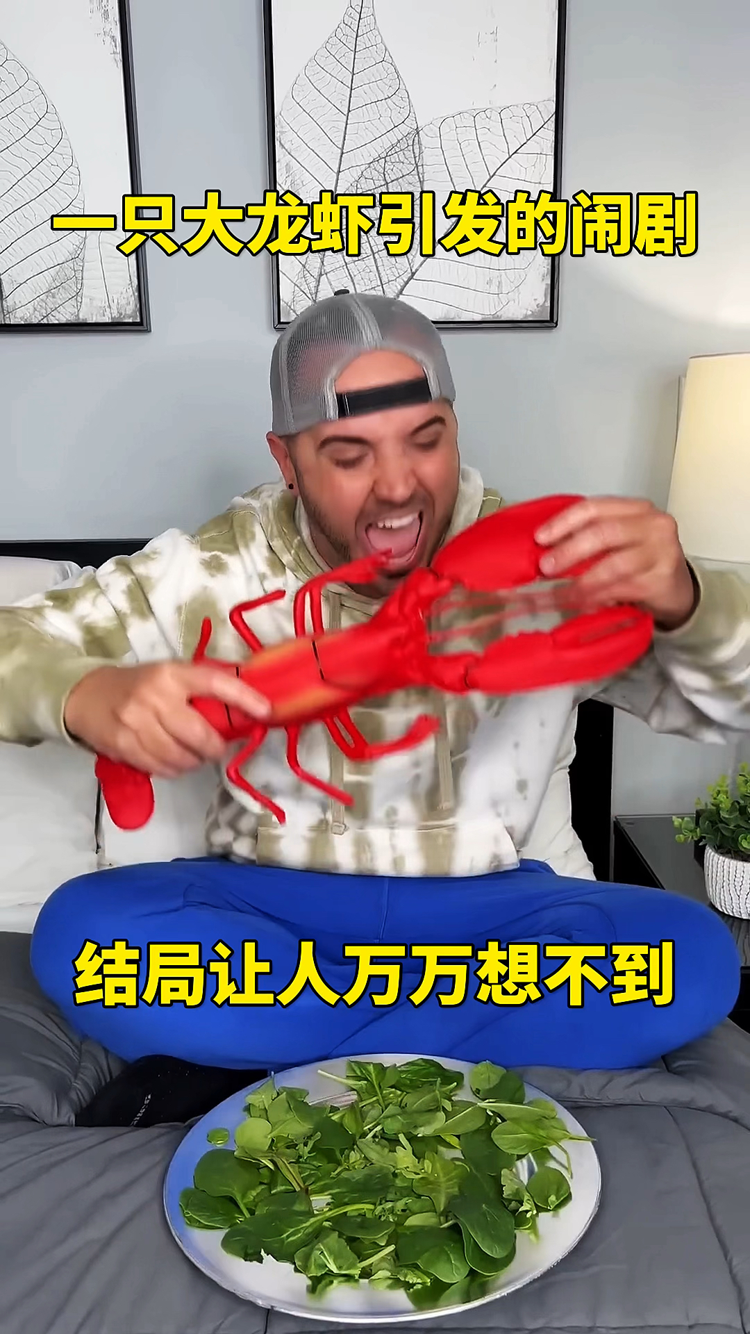 一只大龙虾引发的闹剧,结局让人万万想不到!