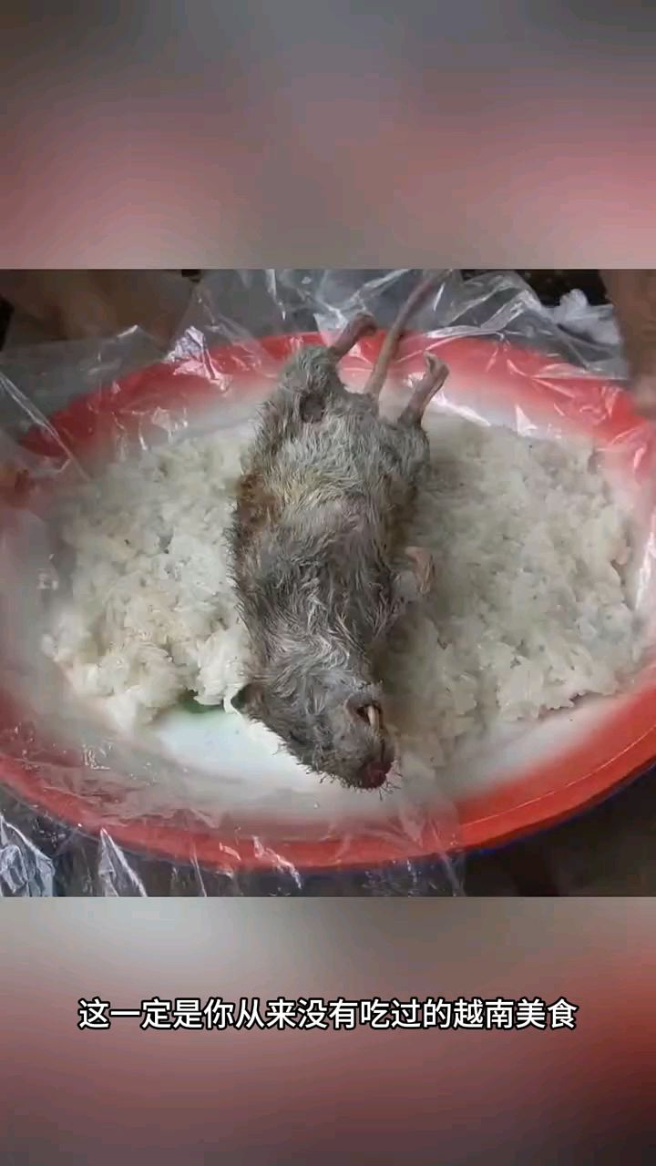 #越南米奇寿司你一定很爱吃 #好香啊 #越南美食