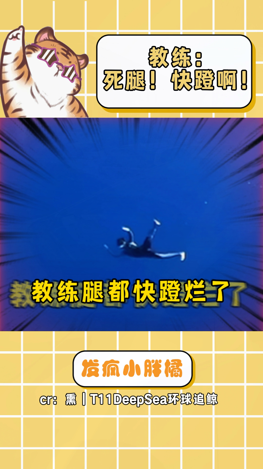 鲸鱼：我也没点外卖啊！