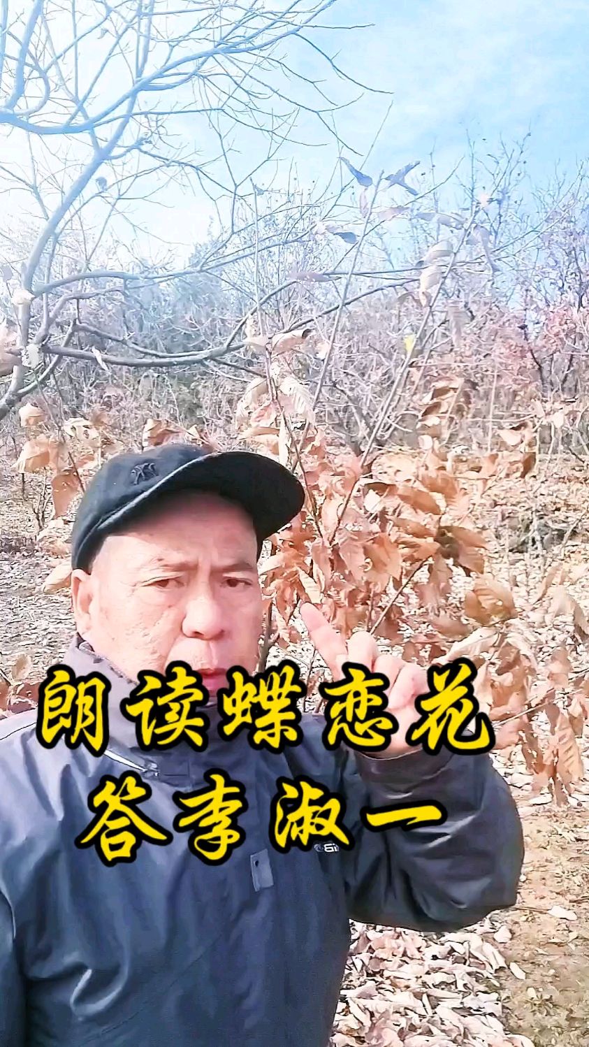 朗读蝶恋花答李淑一