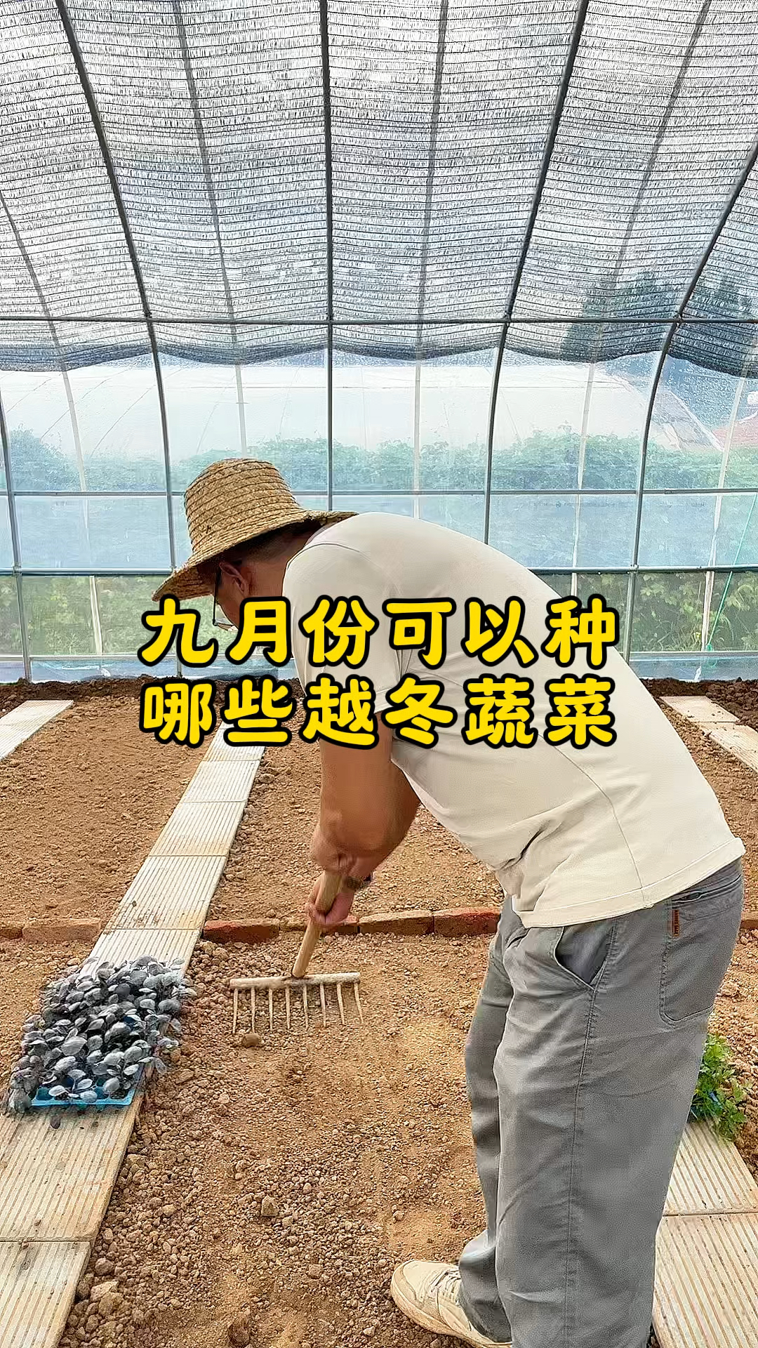 九月份可以种哪些越冬蔬菜