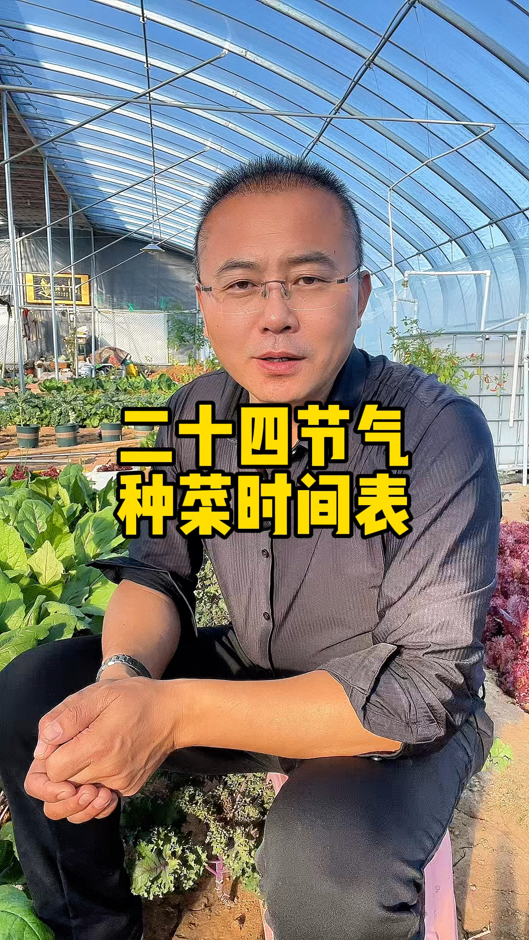 二十四节气种菜时间表