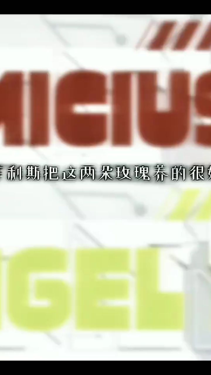 凹凸世界凹凸世界凹凸世界