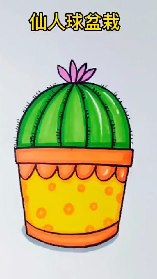 仙人球盆栽简笔画 儿童画