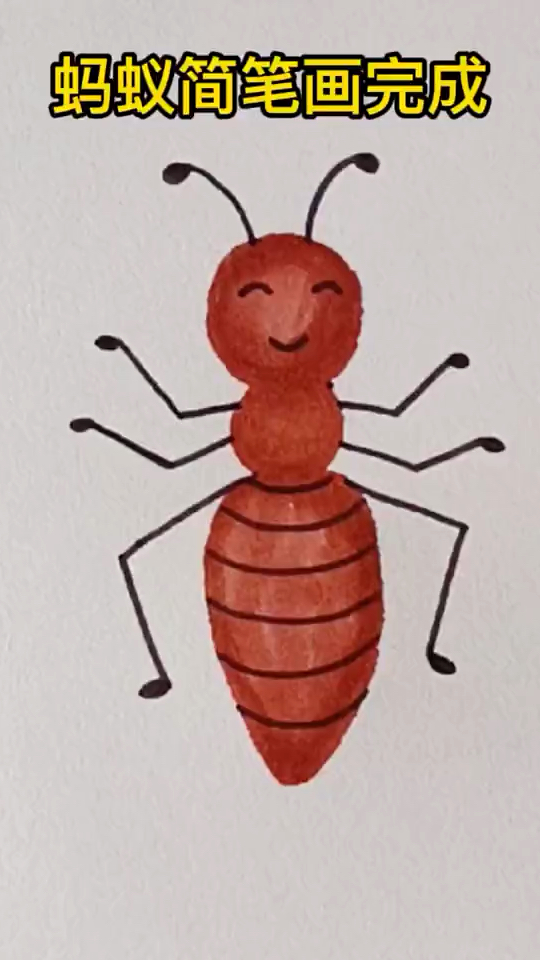 蚂蚁简笔画 儿童画 创意画