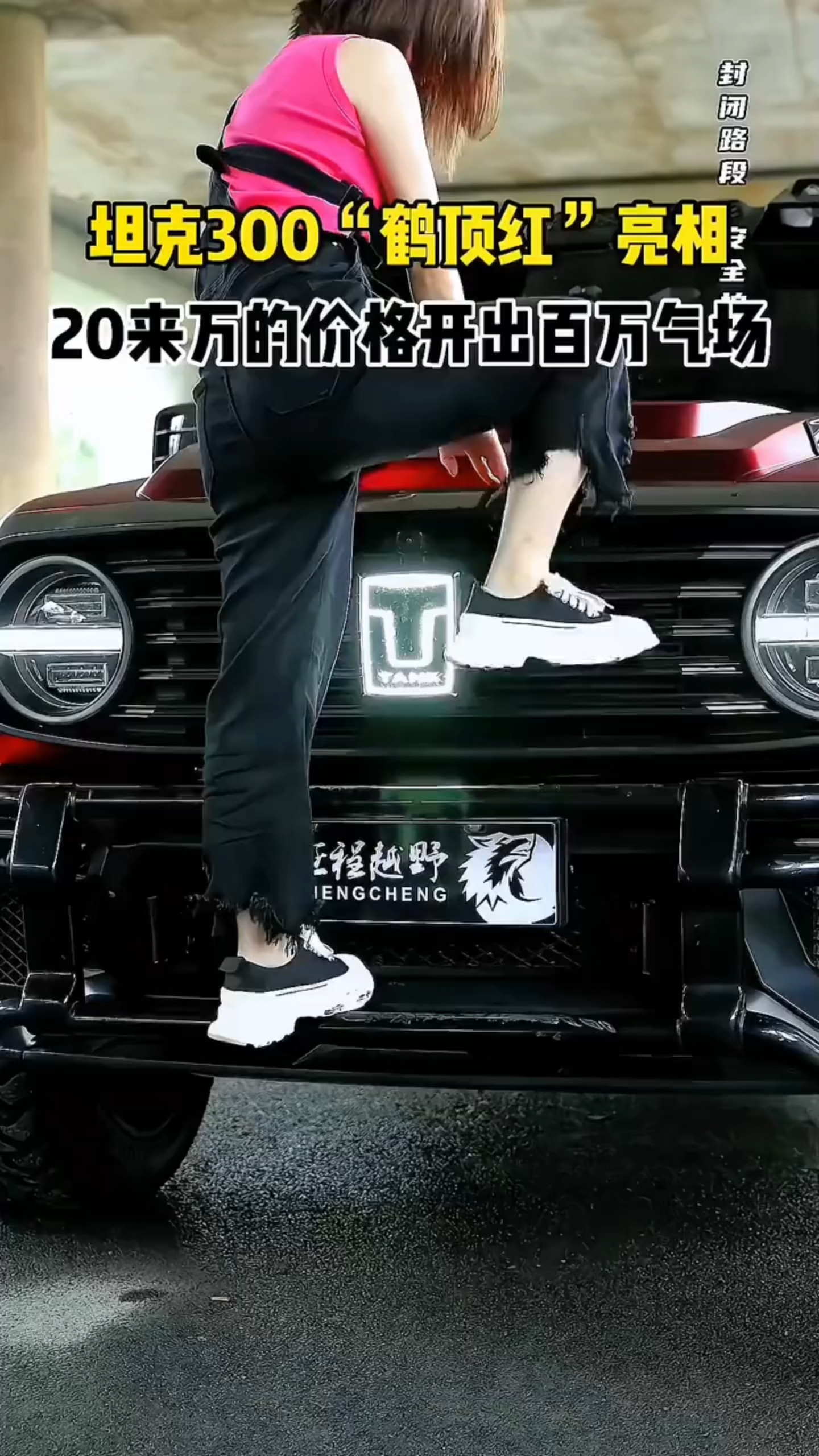 坦克300“鹤顶红”亮相