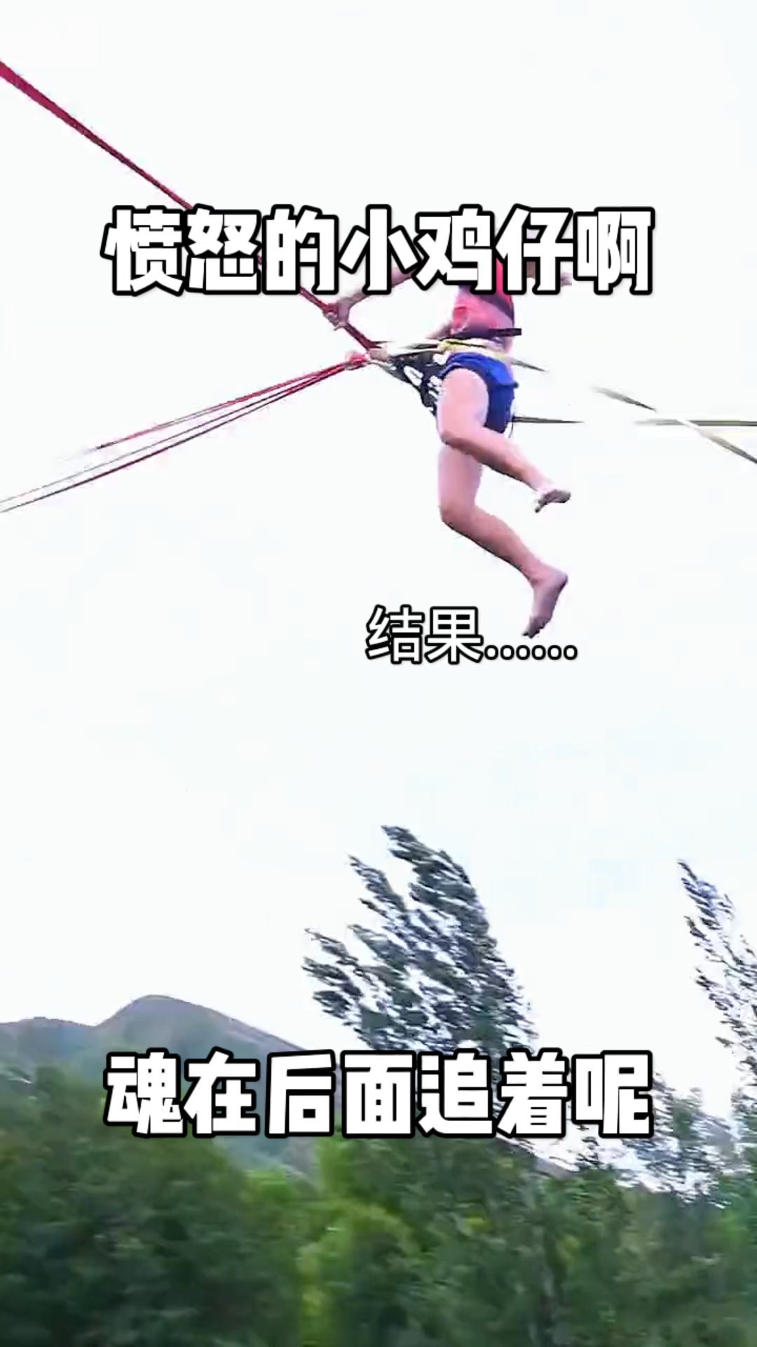 愤怒的小鸡仔啊!人在前面飞,魂在后面飞着呢?