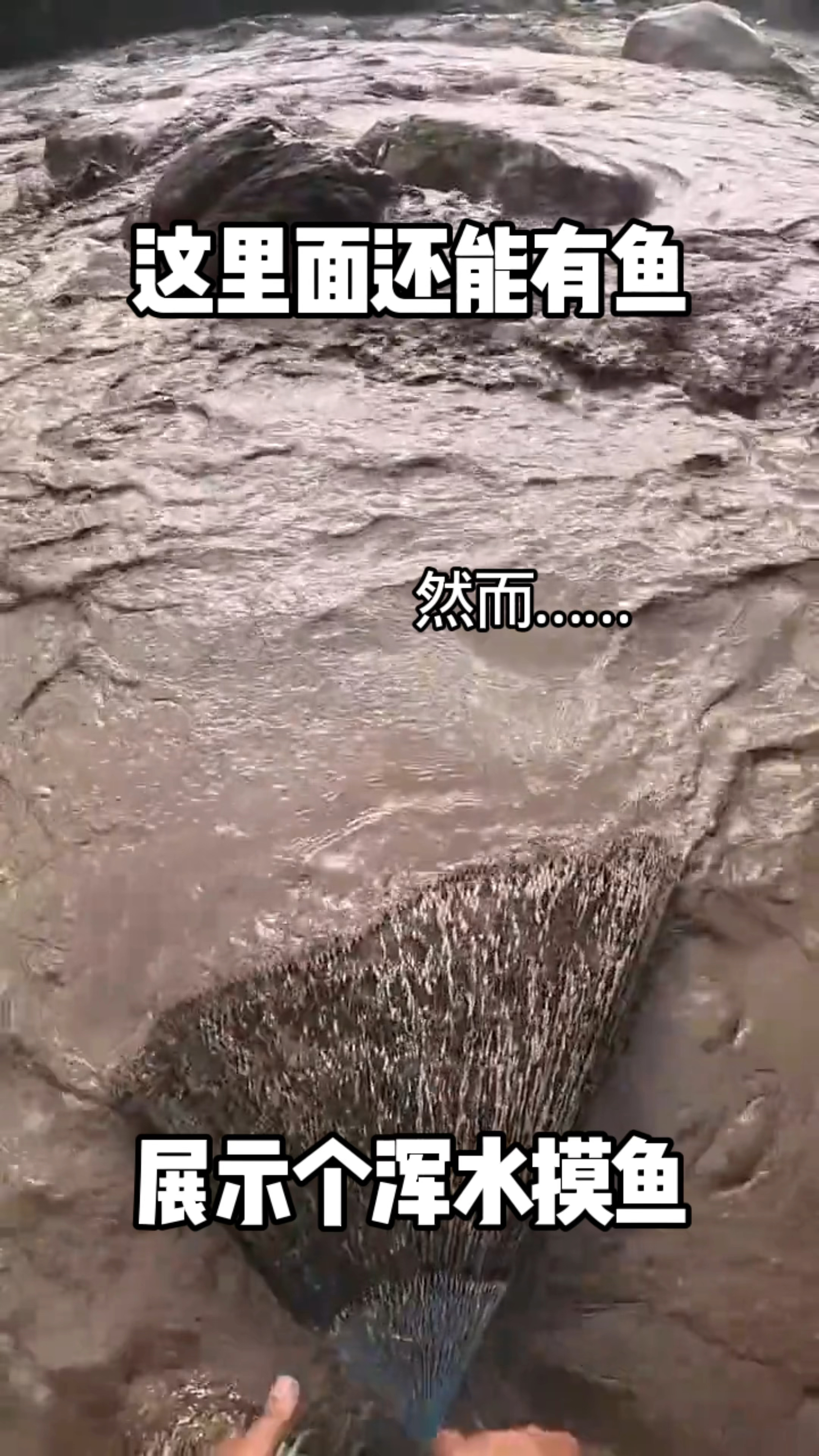 展示个浑水摸鱼，这里面还能有鱼，能有鱼吗？
