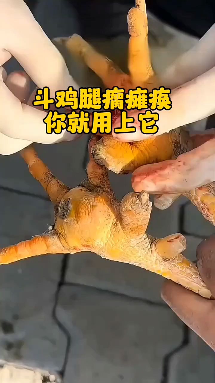 鸡鸭鹅腿瘸脚肿怎么办