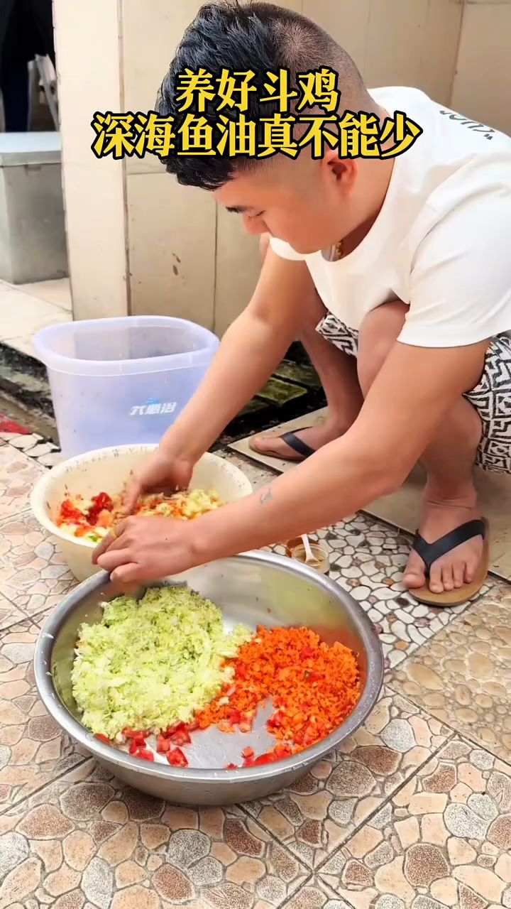 养好斗鸡,深海鱼油真不能少