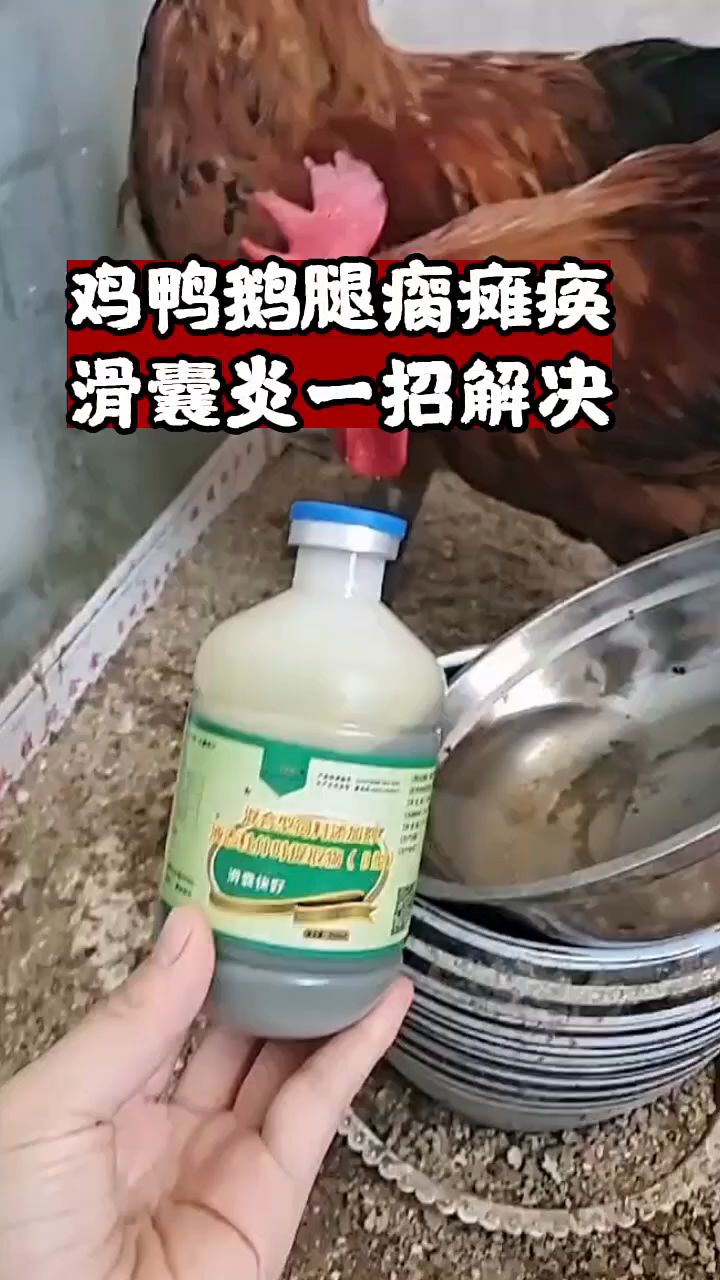 鸡鸭鹅腿瘸脚瘫痪滑囊炎,一招解决