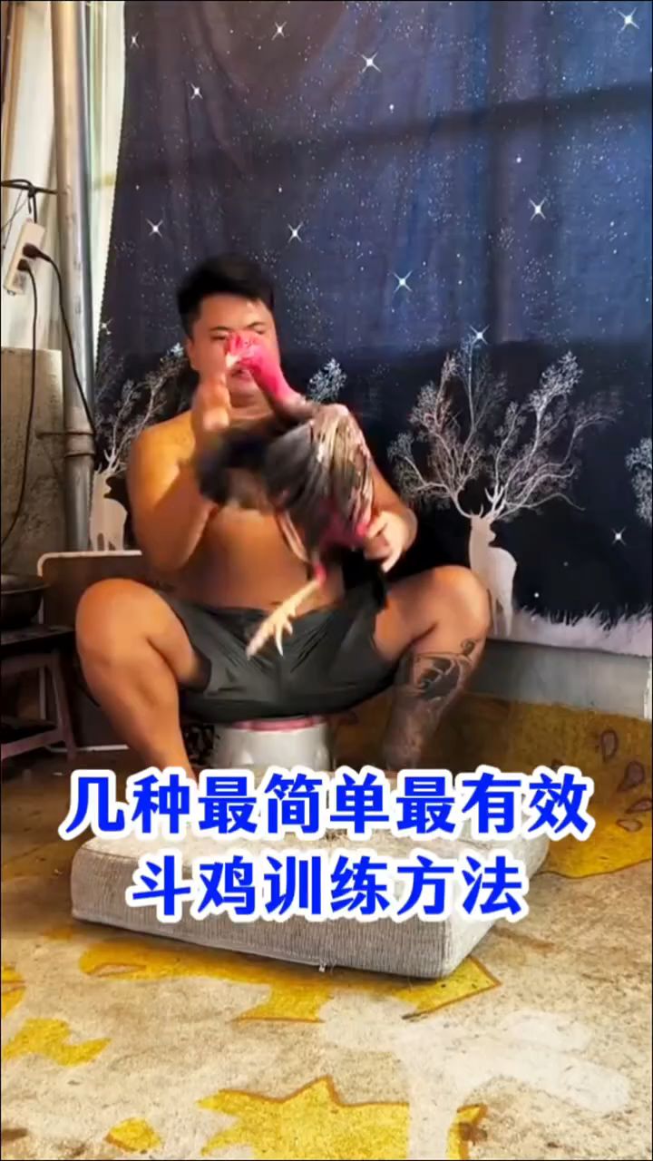 几种最简单最有效斗鸡训练方法