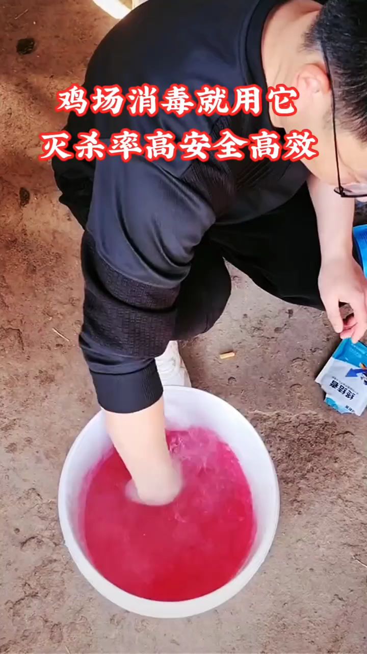 鸡场消毒就用它灭杀率高,安全高效