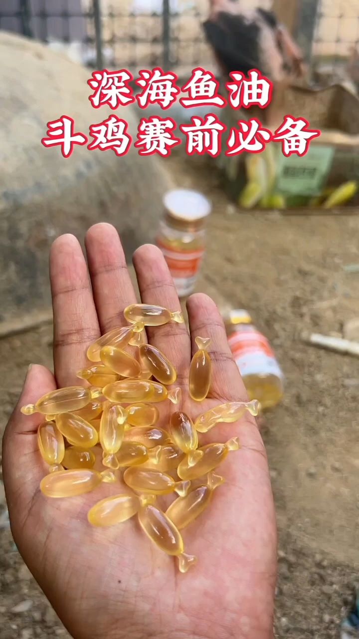 深海鱼油，斗鸡赛前必备