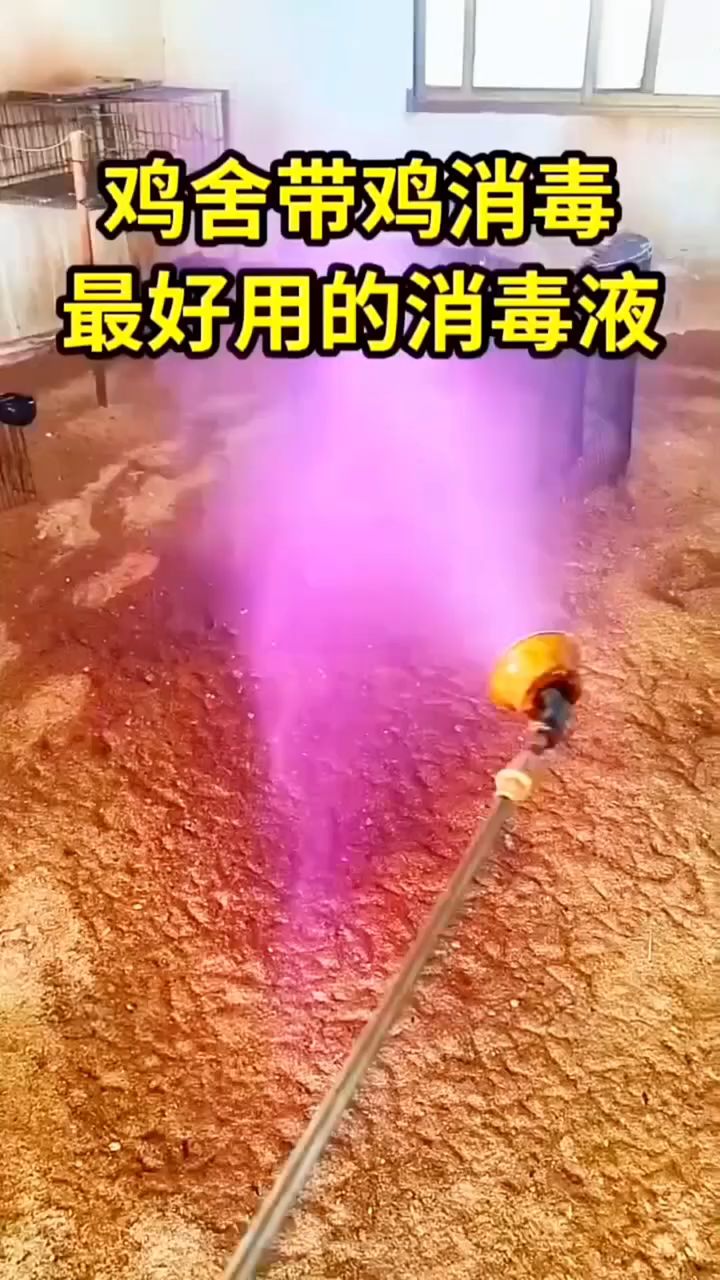 鸡舍带鸡消毒，最好用的消毒液