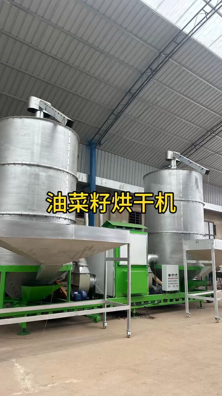 油菜籽的春天来了!