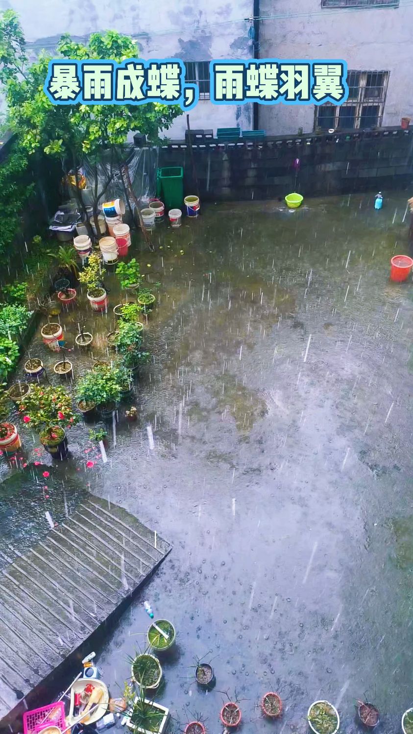 雨后的古城与民宿