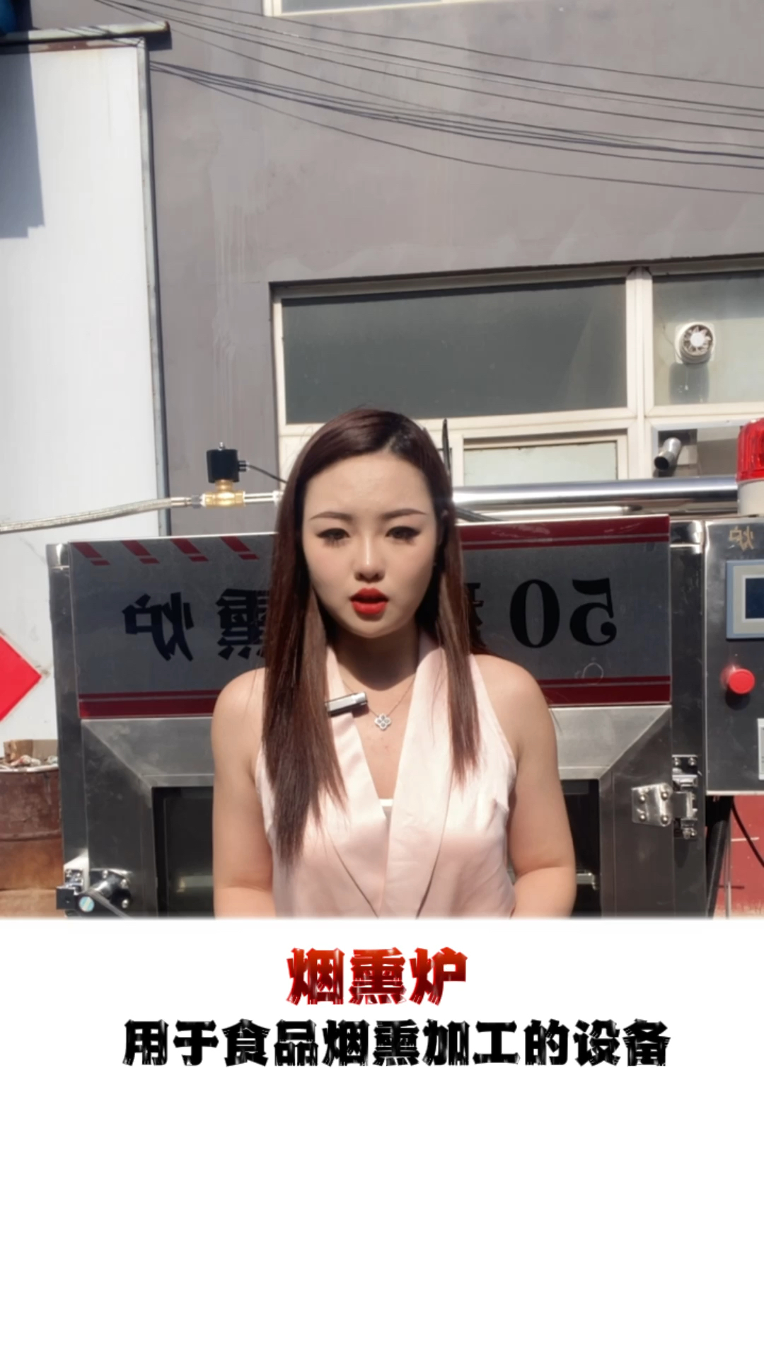 红肠烟熏炉 烟熏机 熏豆干机器 腊肉腊肠烟熏炉 烟熏烘烤一体炉