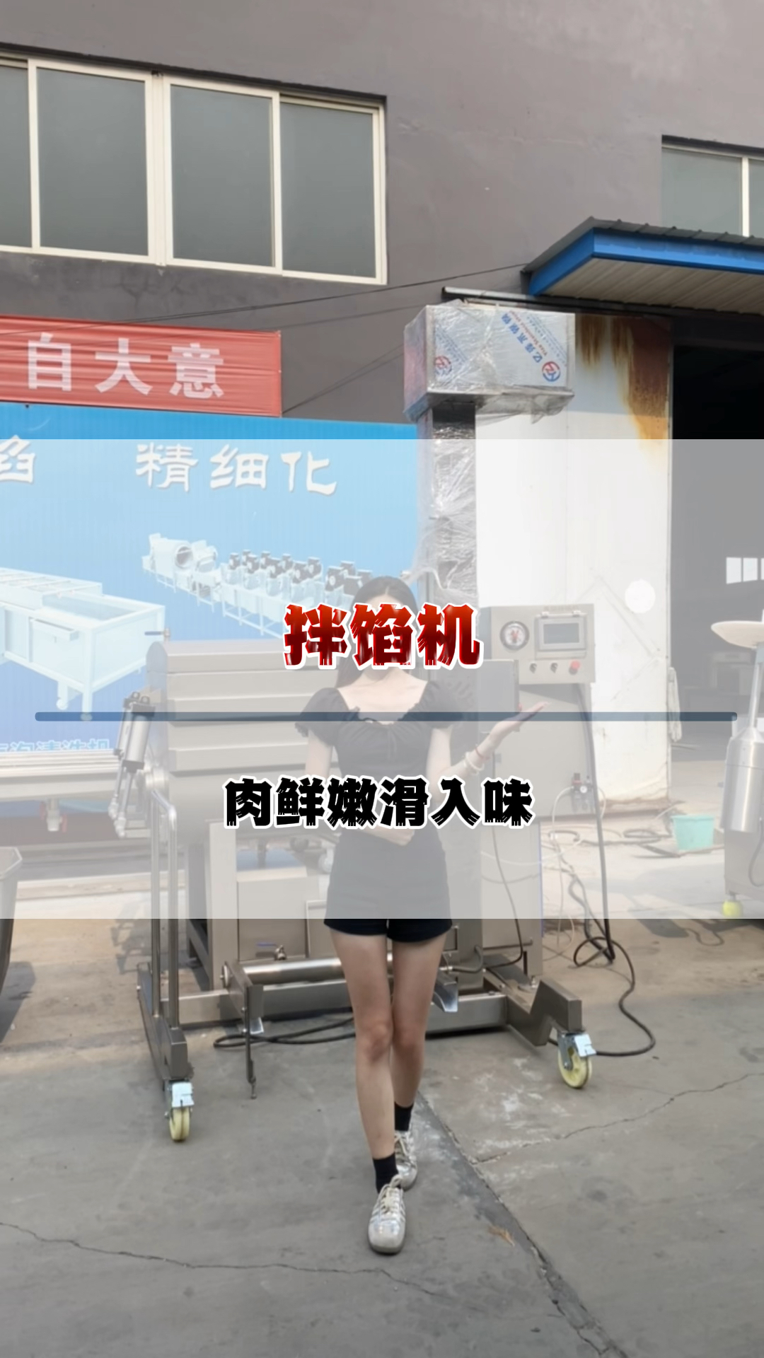 拌馅机 真空拌馅机 打馅机 馅料混合搅拌机