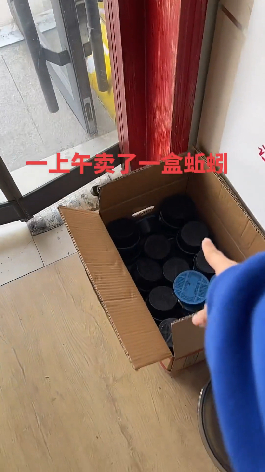 渔具店一个上午就卖了一盒蚯蚓,看来喜欢钓鱼的人越来越少了