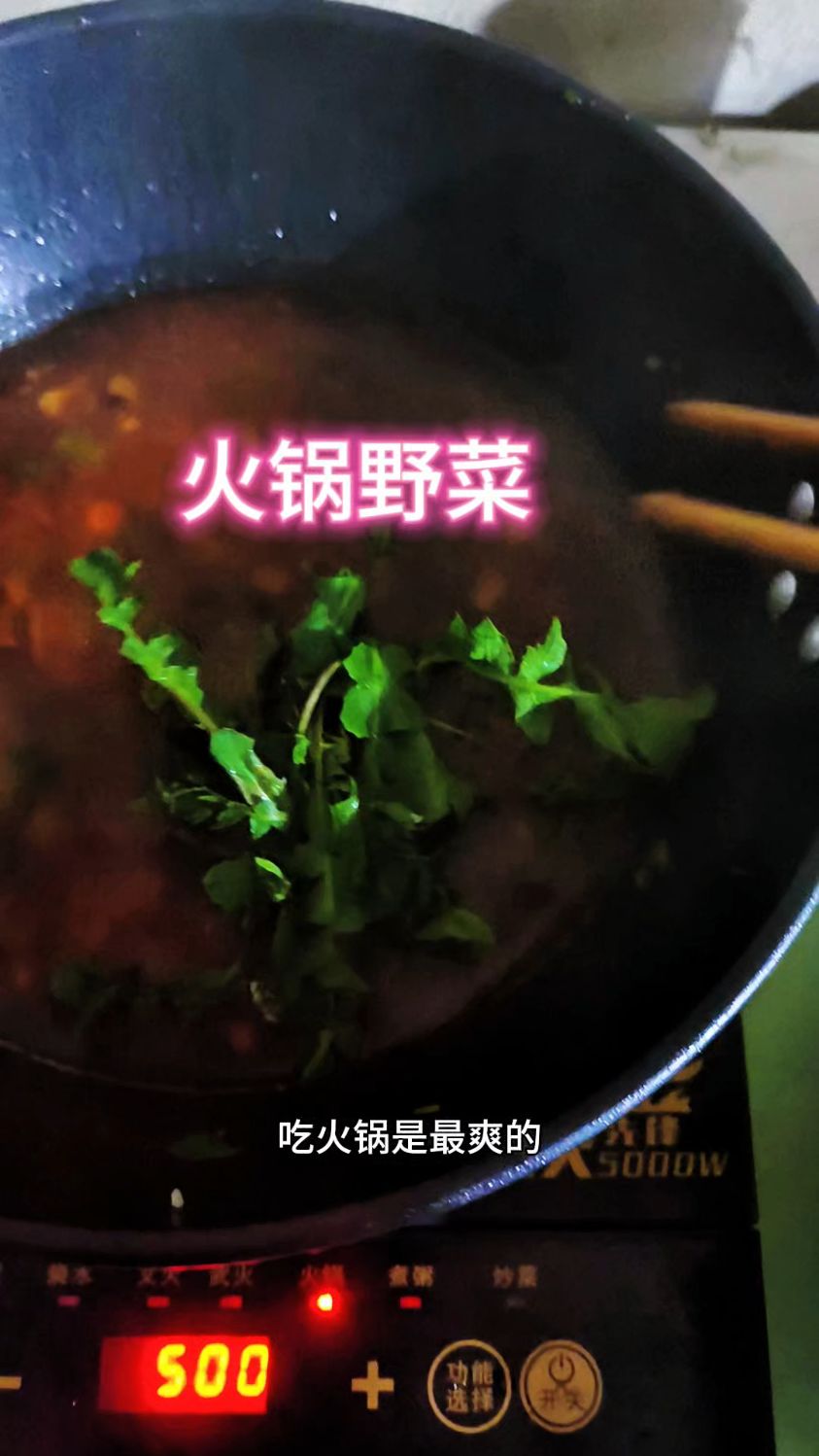 纯野生荠荠菜吃火锅最香了